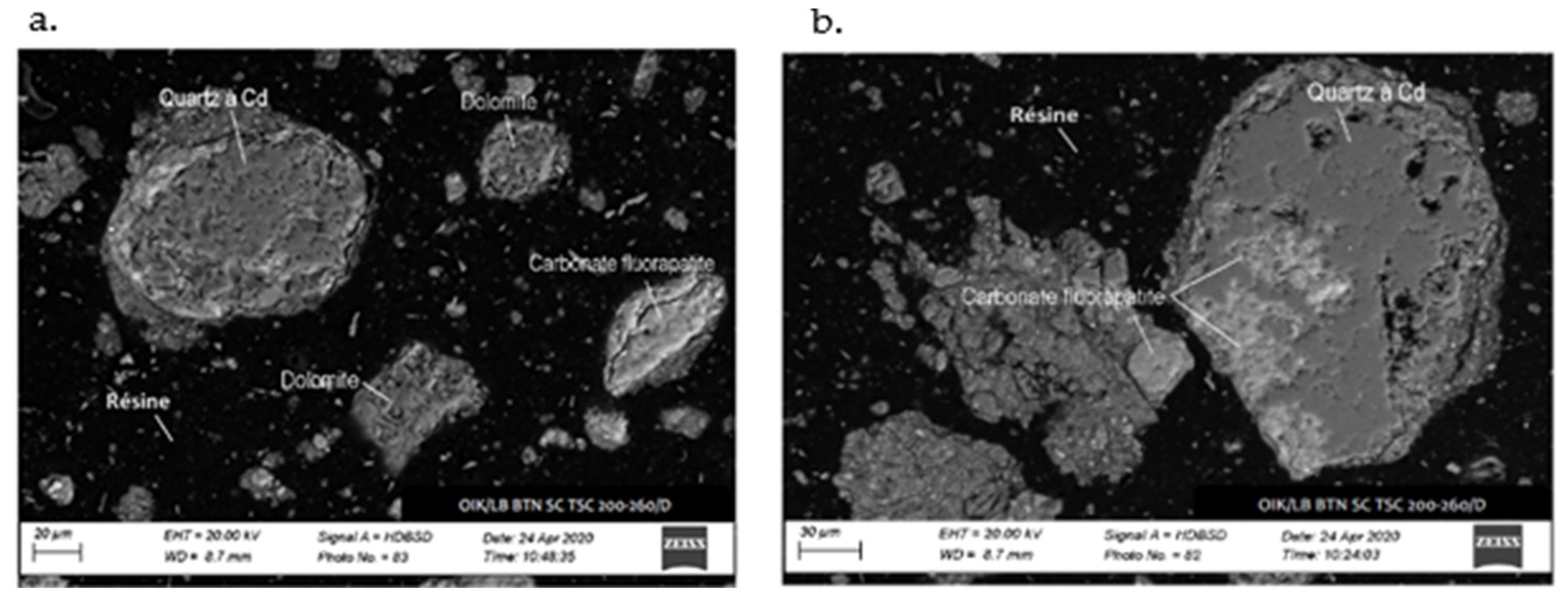 Sustainability 16 08614 g006