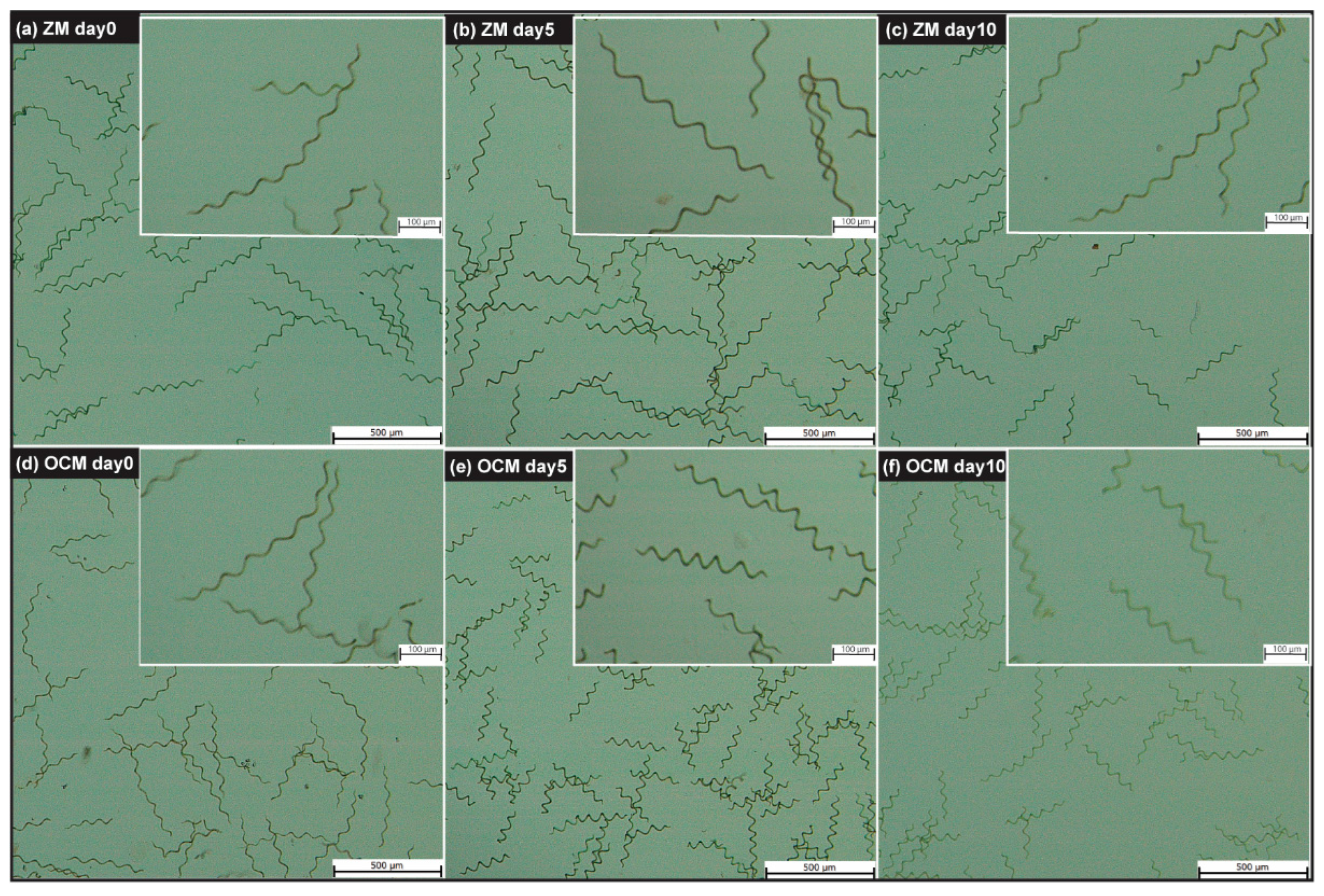 Sustainability 16 08627 g003