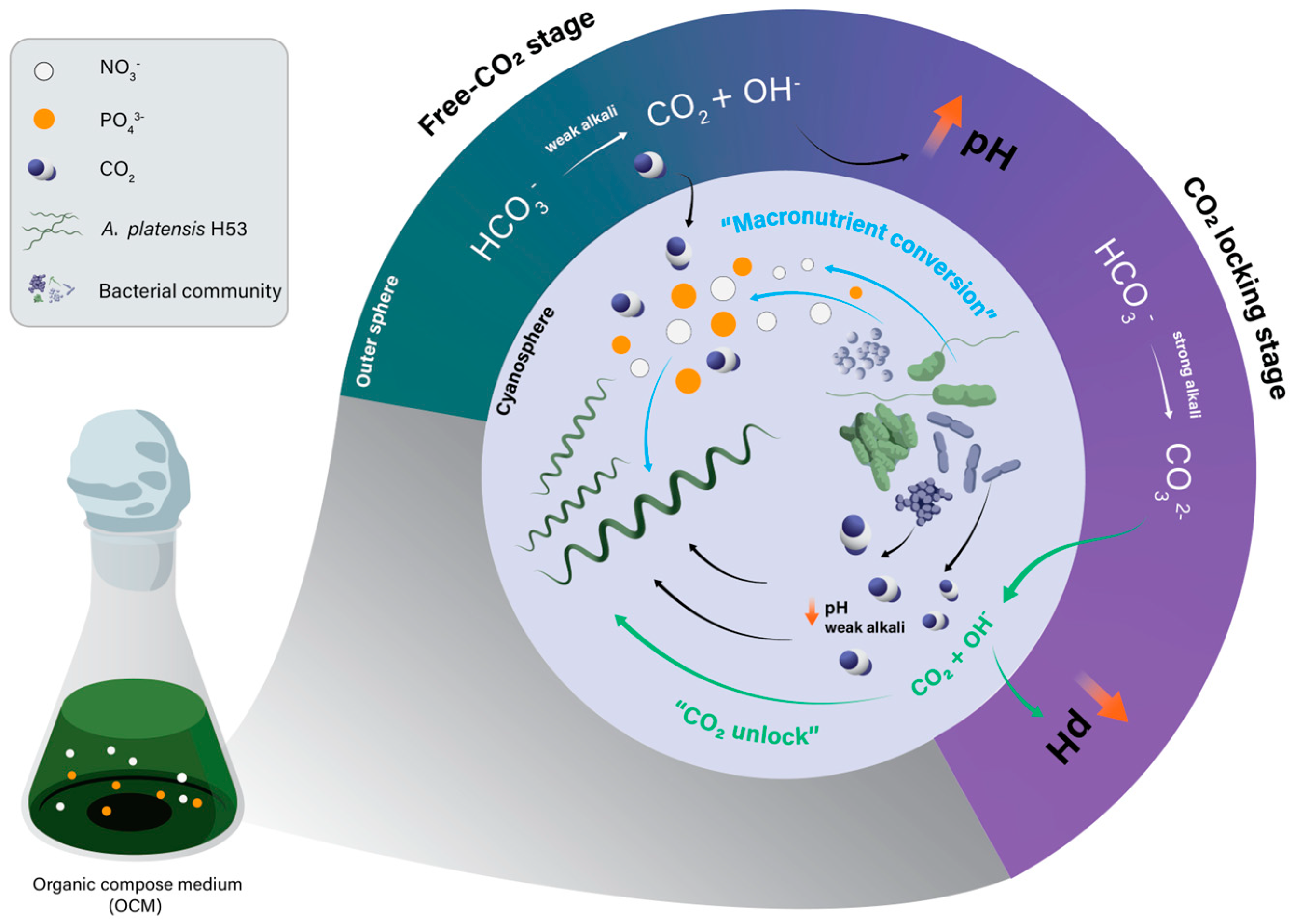 Sustainability 16 08627 g006