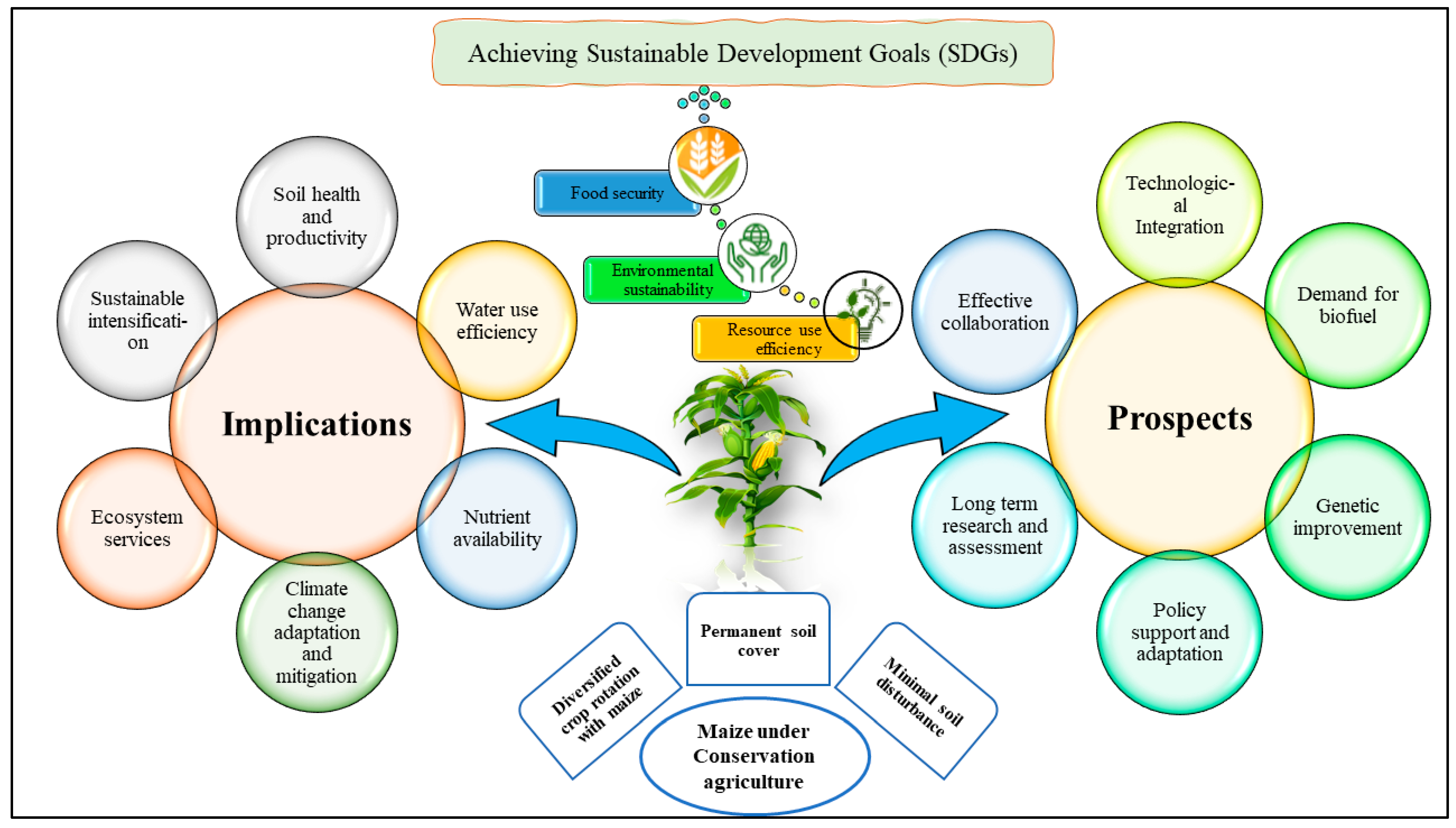 Sustainability 16 08670 g016