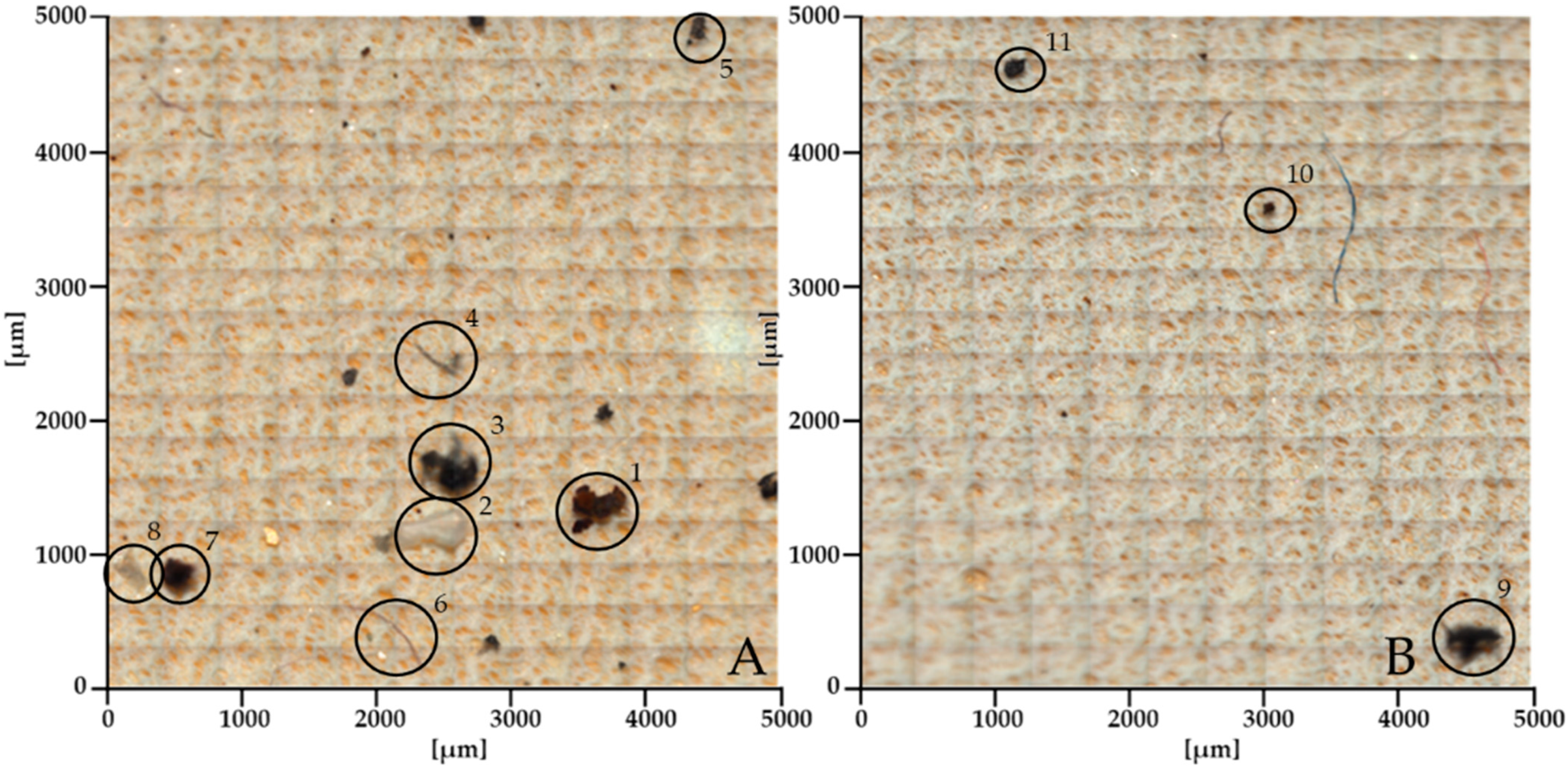 Sustainability 16 08678 g003