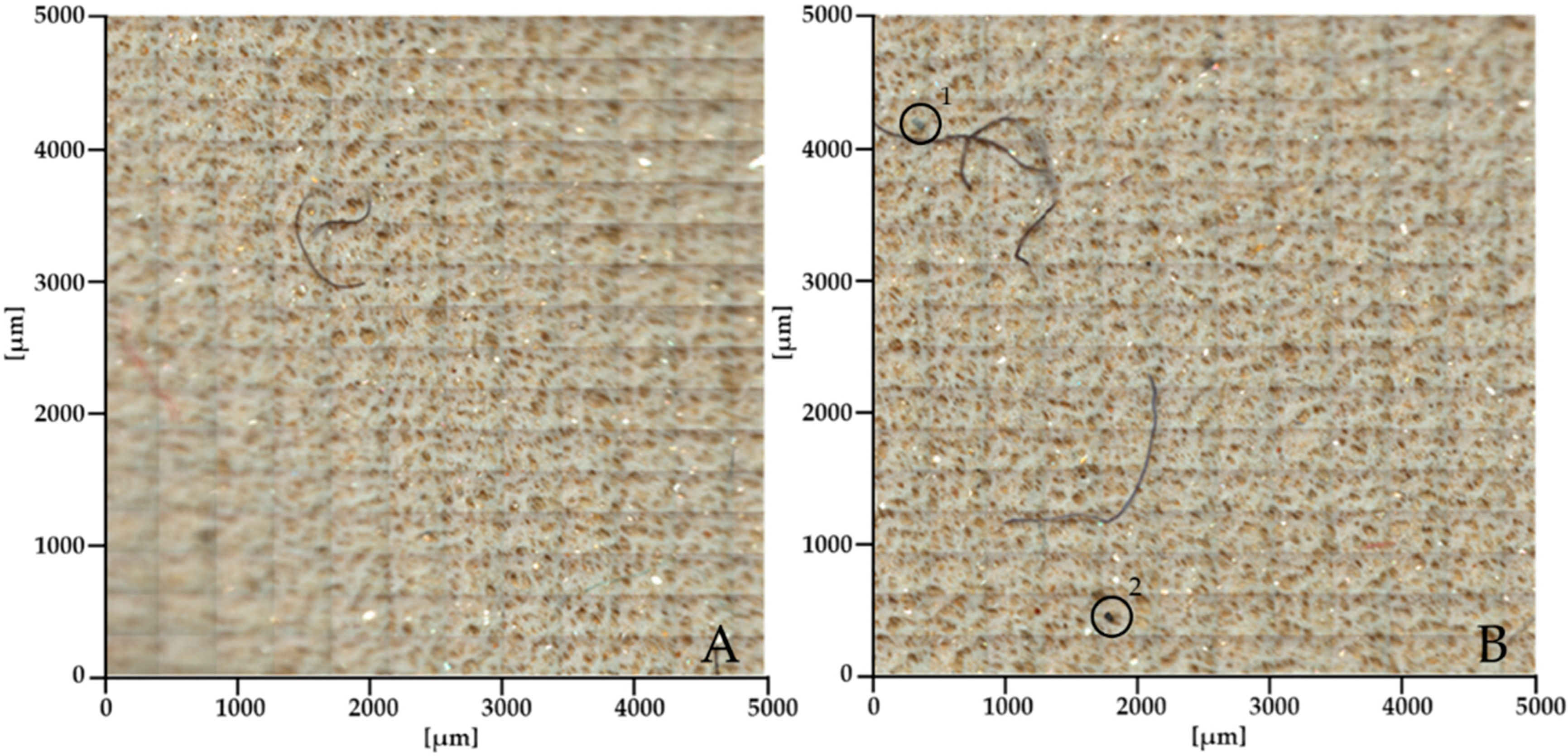 Sustainability 16 08678 g005