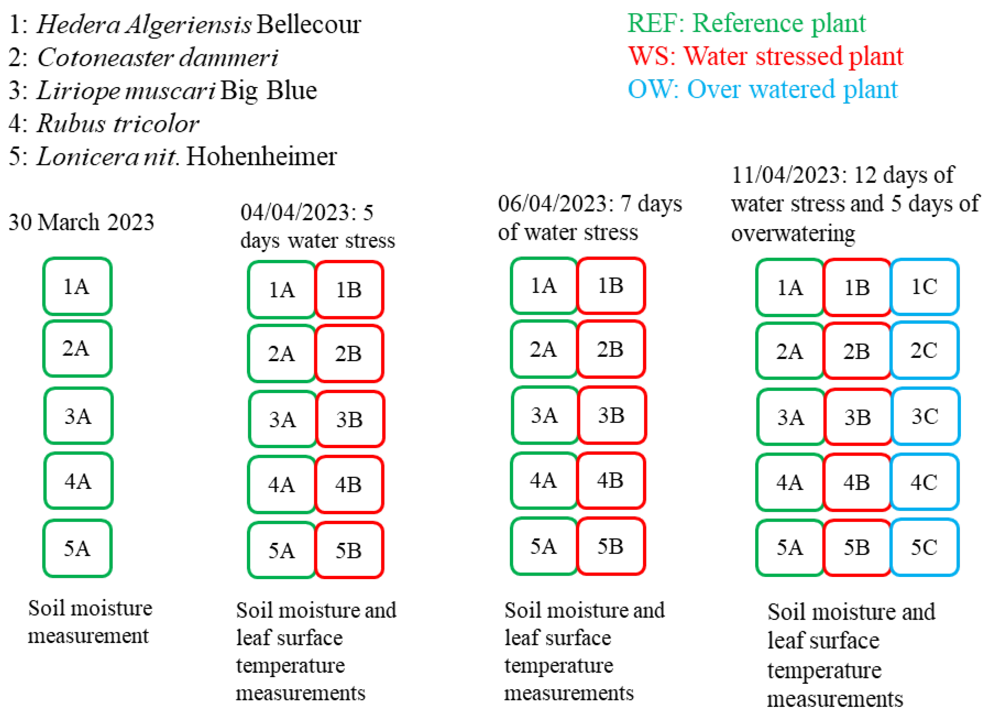 Sustainability 16 08685 g003