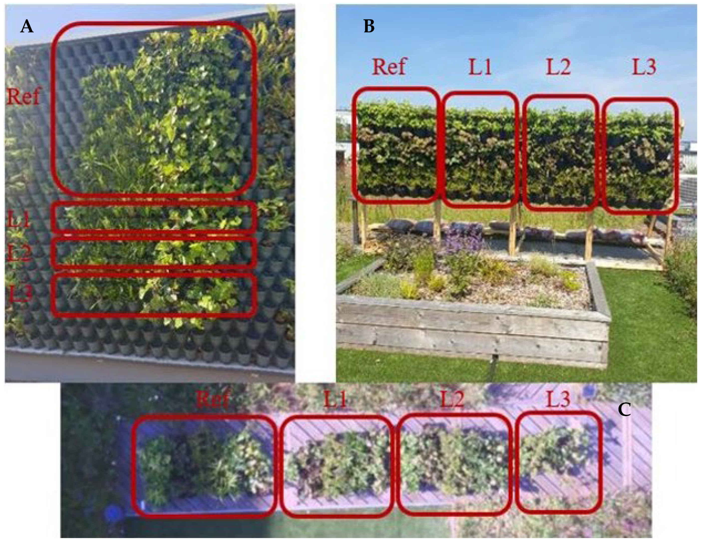 Sustainability 16 08685 g009