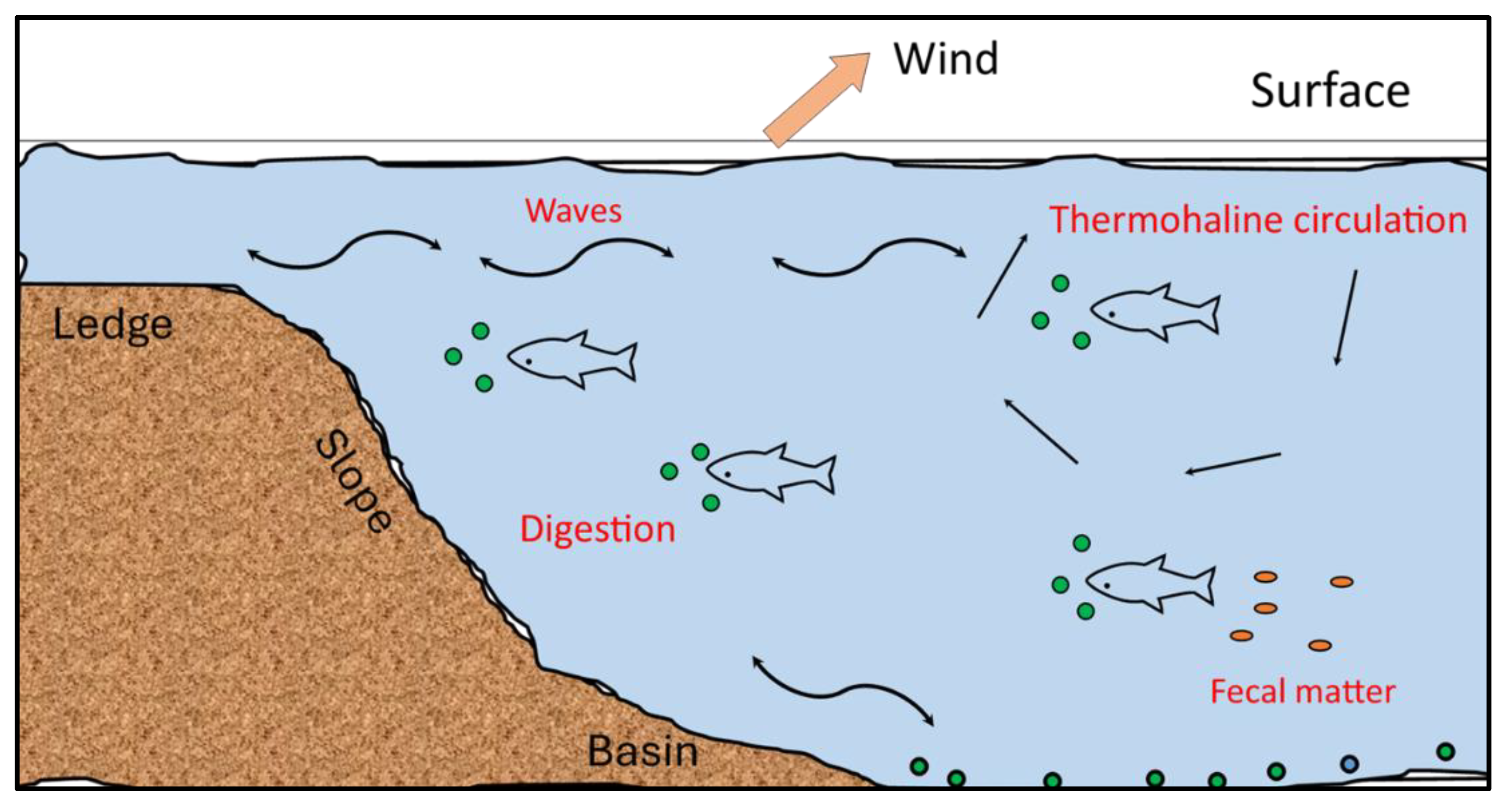 Sustainability 16 08704 g001