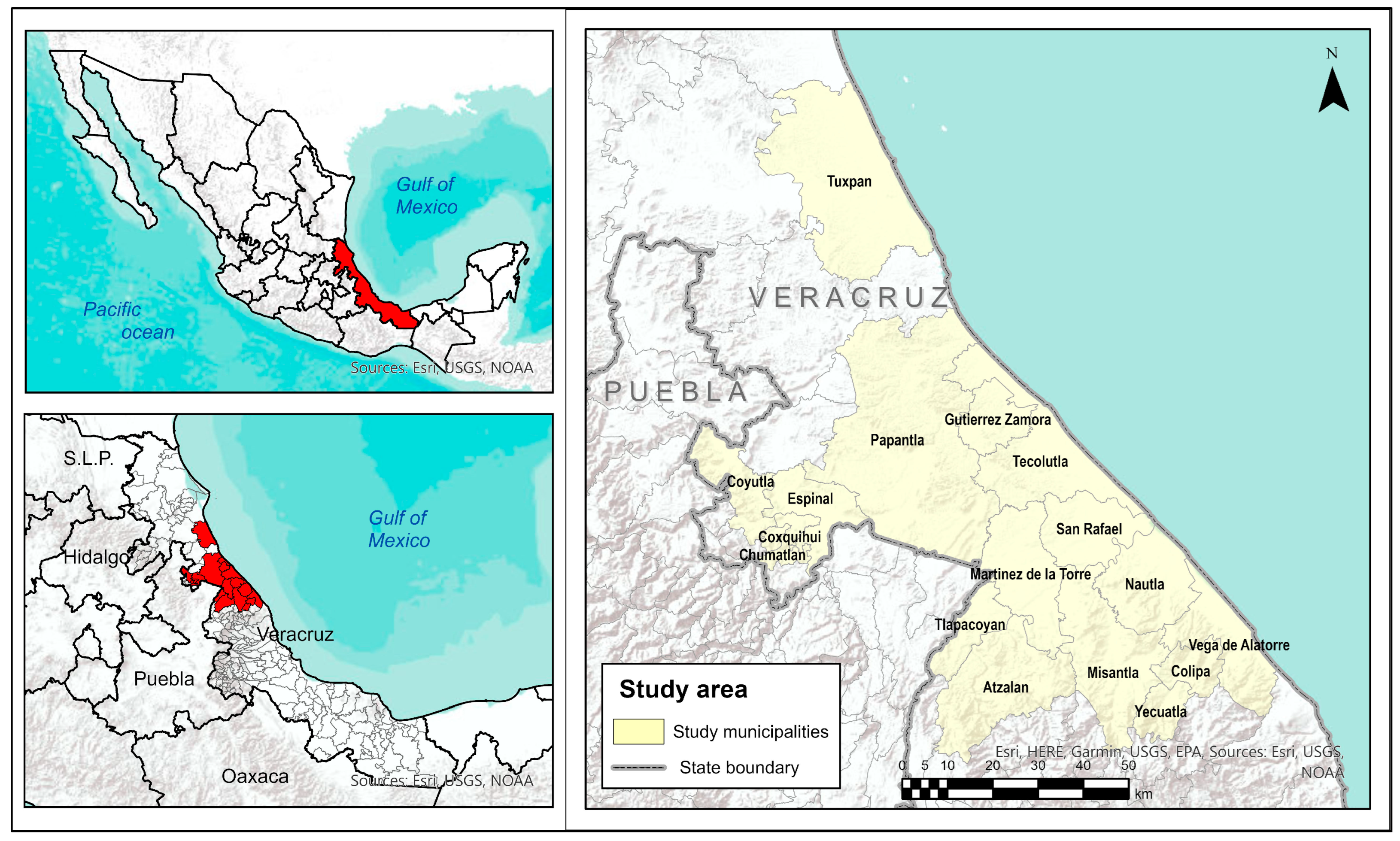 Sustainability 16 08732 g001