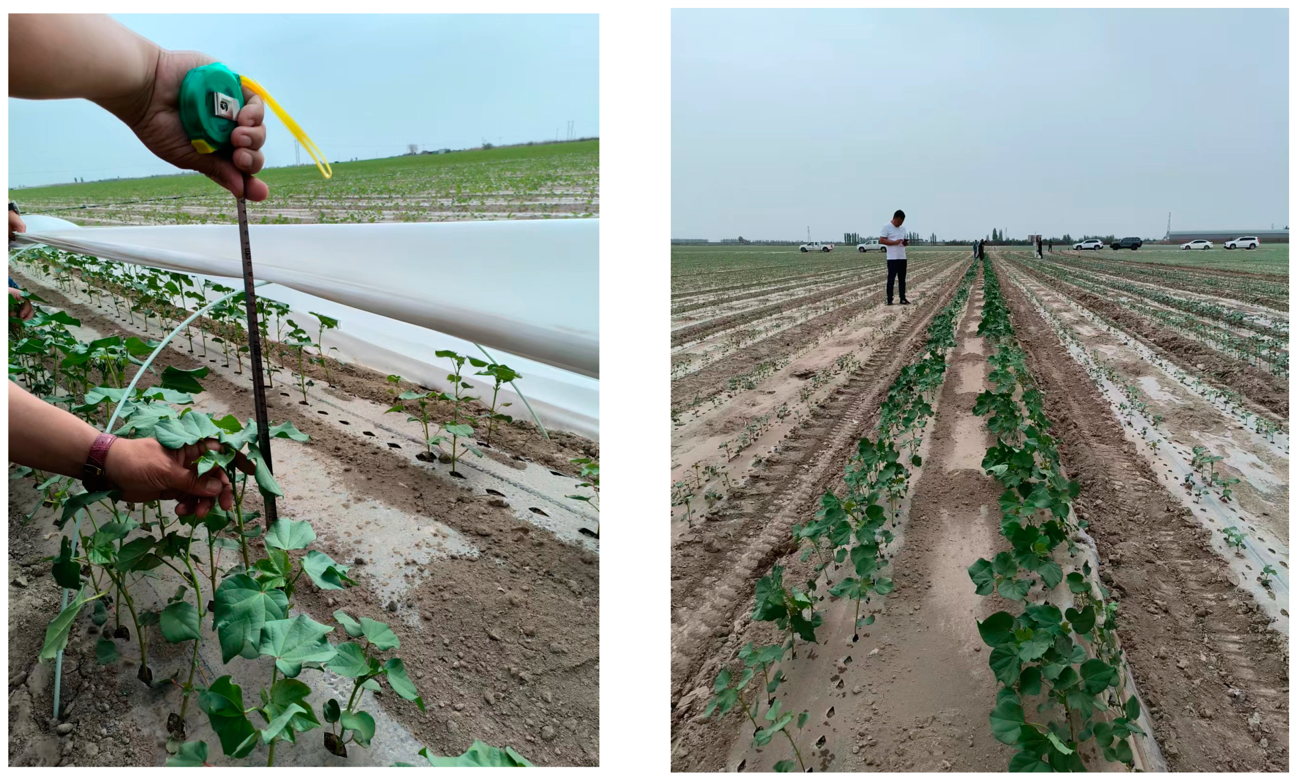 Sustainability 16 08749 g009