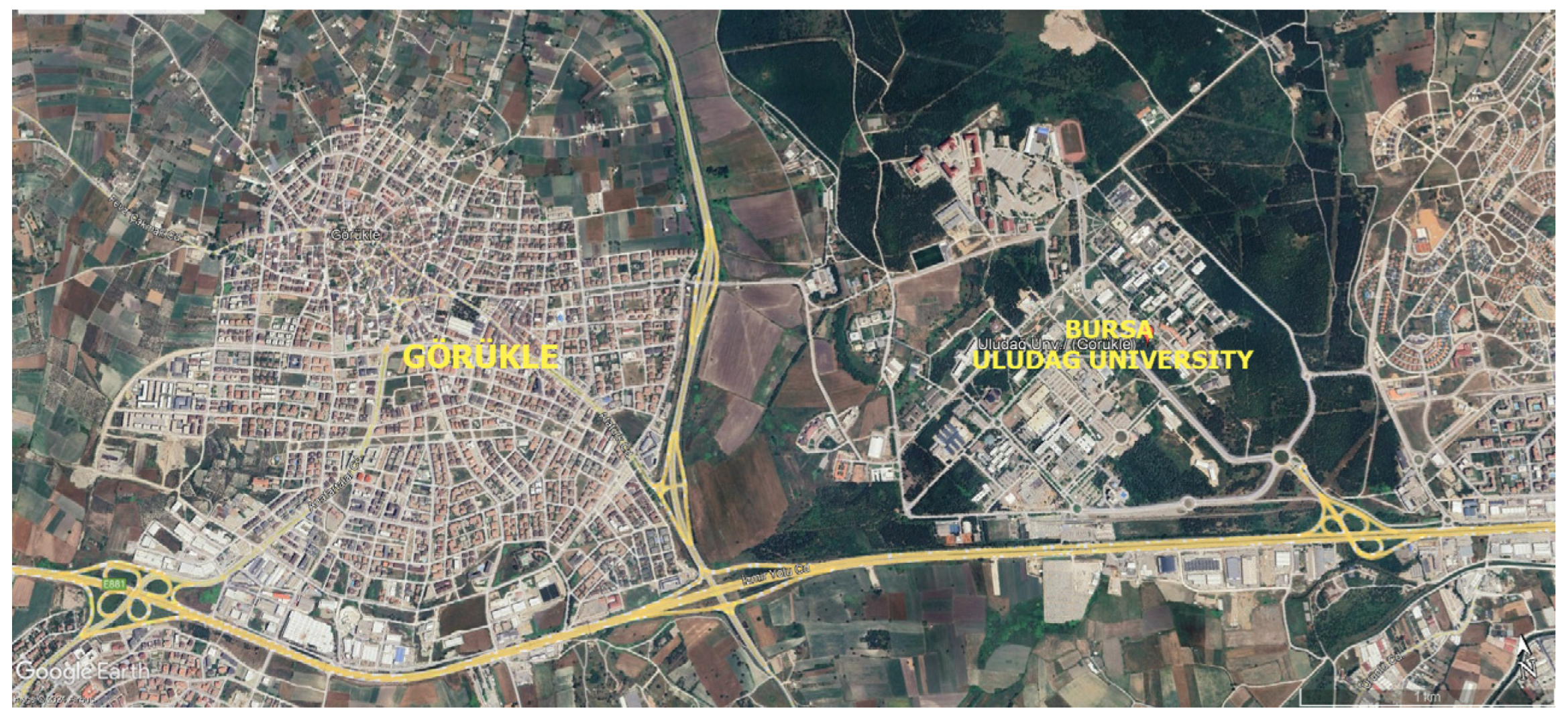 Sustainability 16 08906 g004