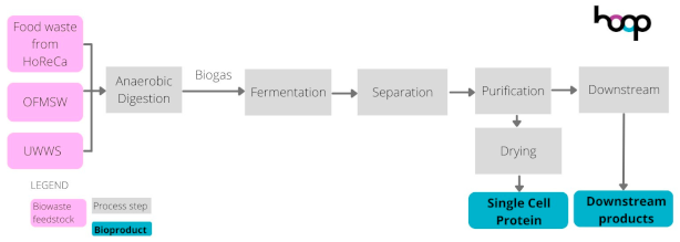 Sustainability 16 08963 i001