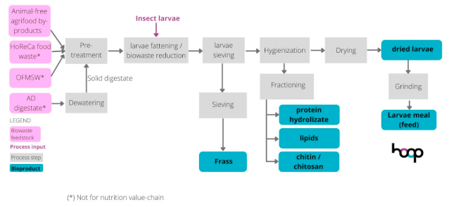 Sustainability 16 08963 i002