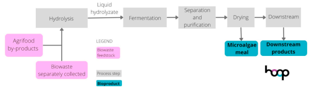 Sustainability 16 08963 i004