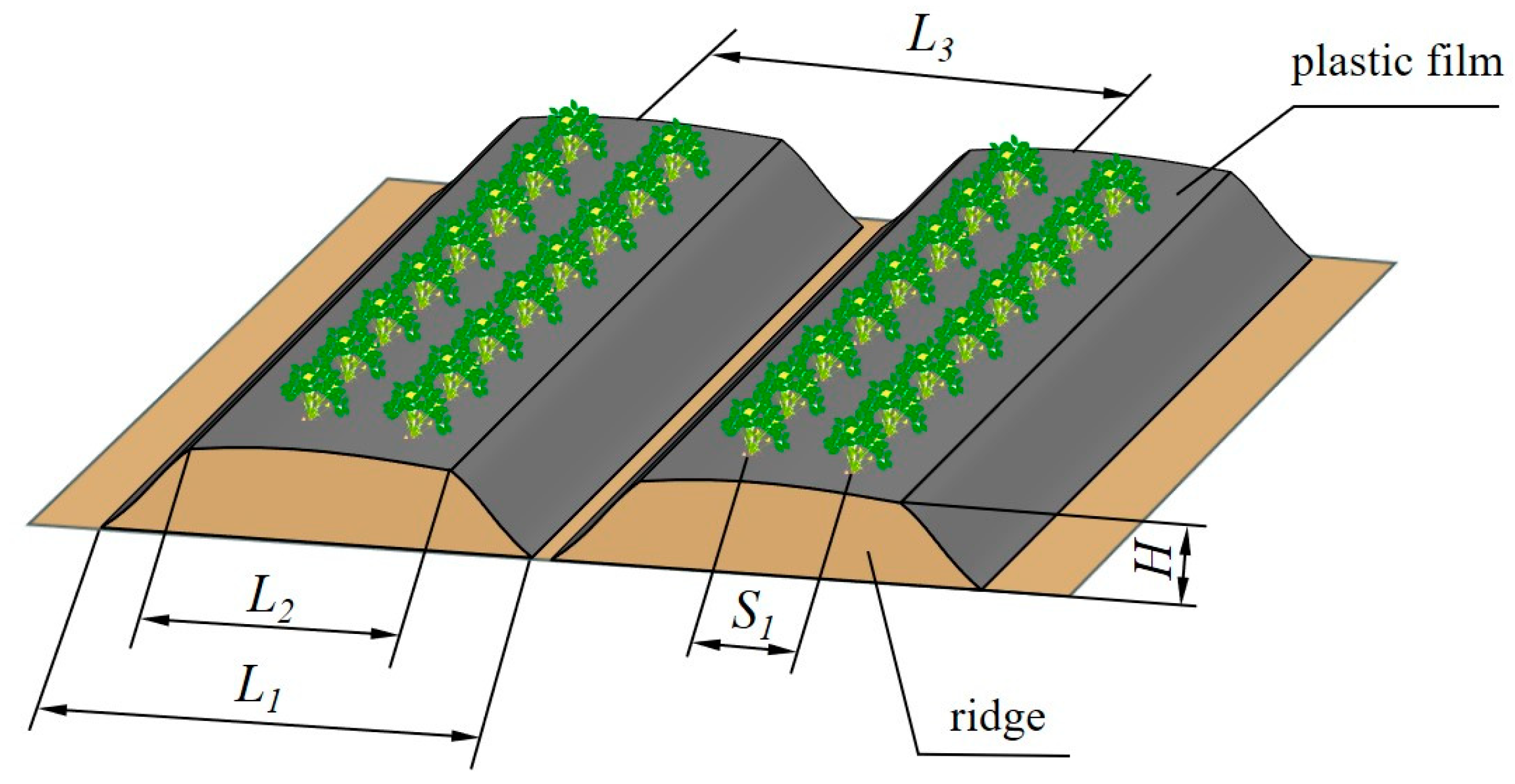 Sustainability 16 08989 g002