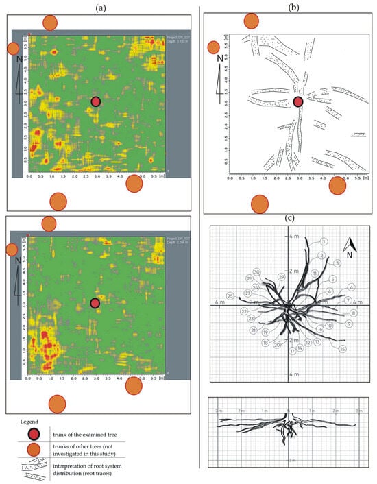Sustainability 16 09037 g004