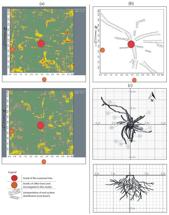 Sustainability 16 09037 g006