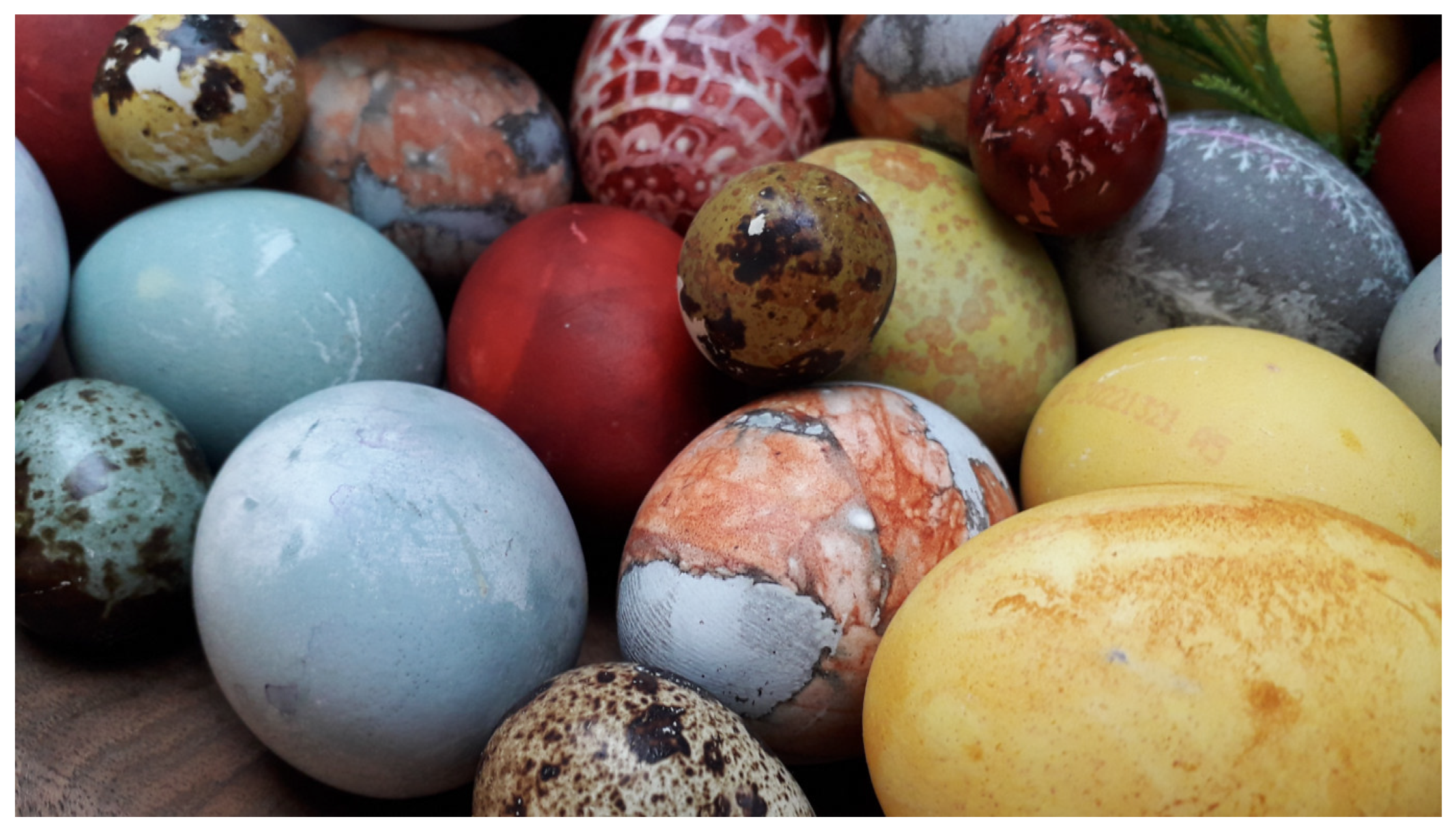 Sustainability 16 09049 g003