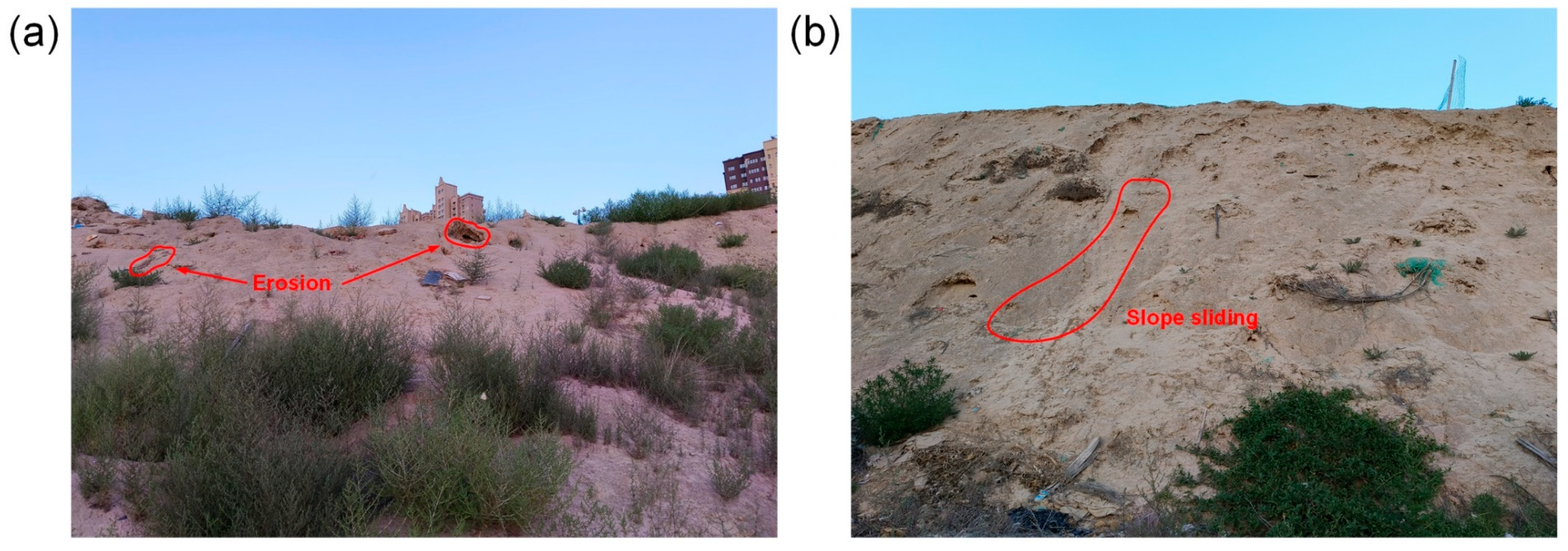 Sustainability 16 09076 g001