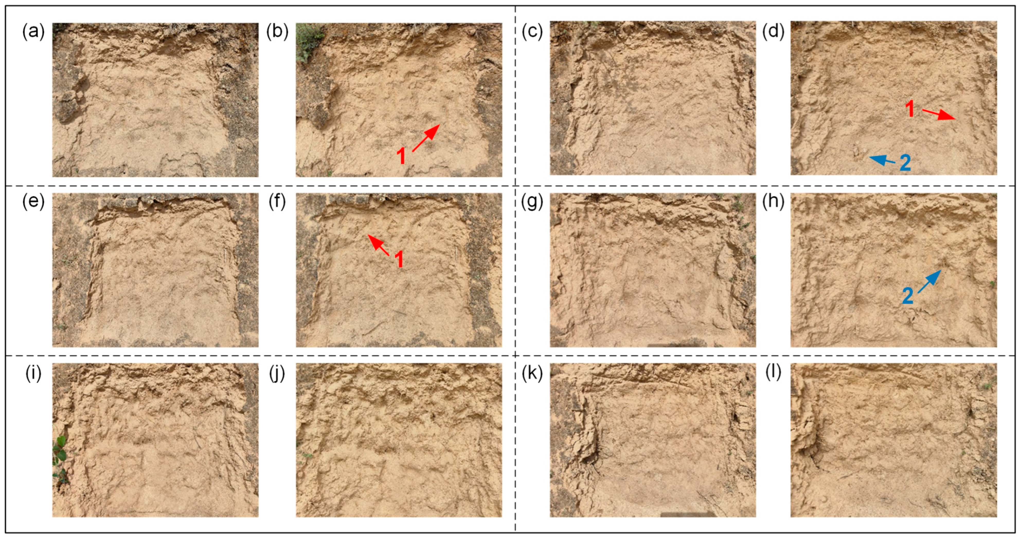 Sustainability 16 09076 g013