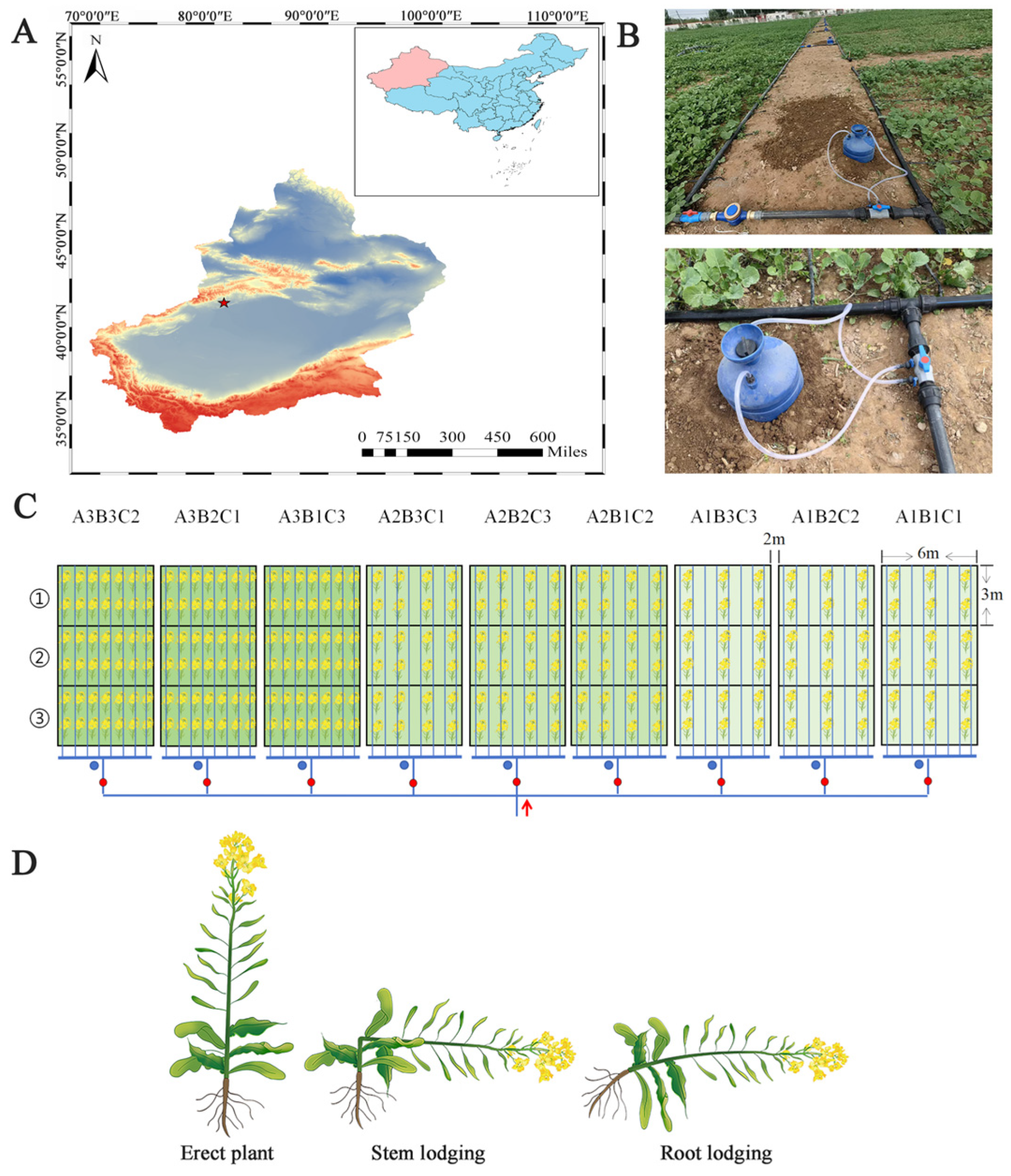 Sustainability 16 09119 g001