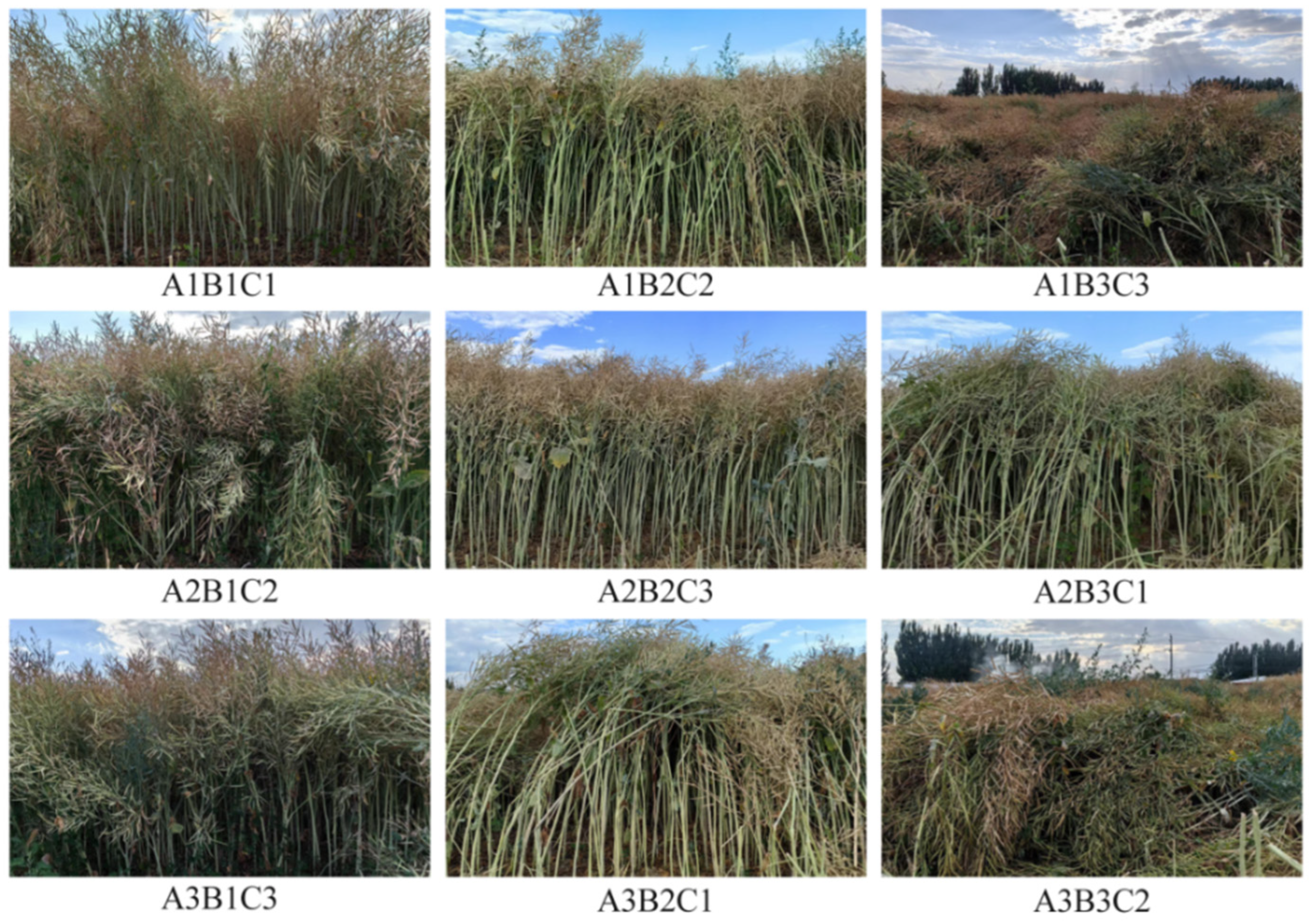 Sustainability 16 09119 g003