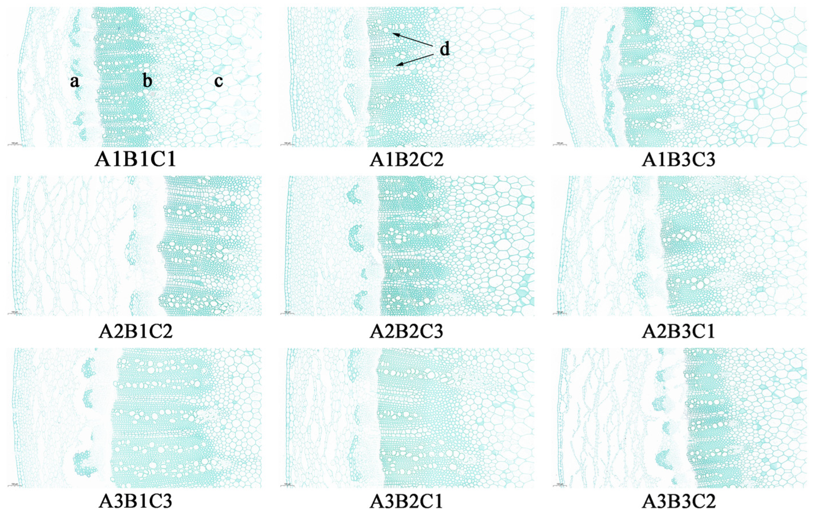 Sustainability 16 09119 g005