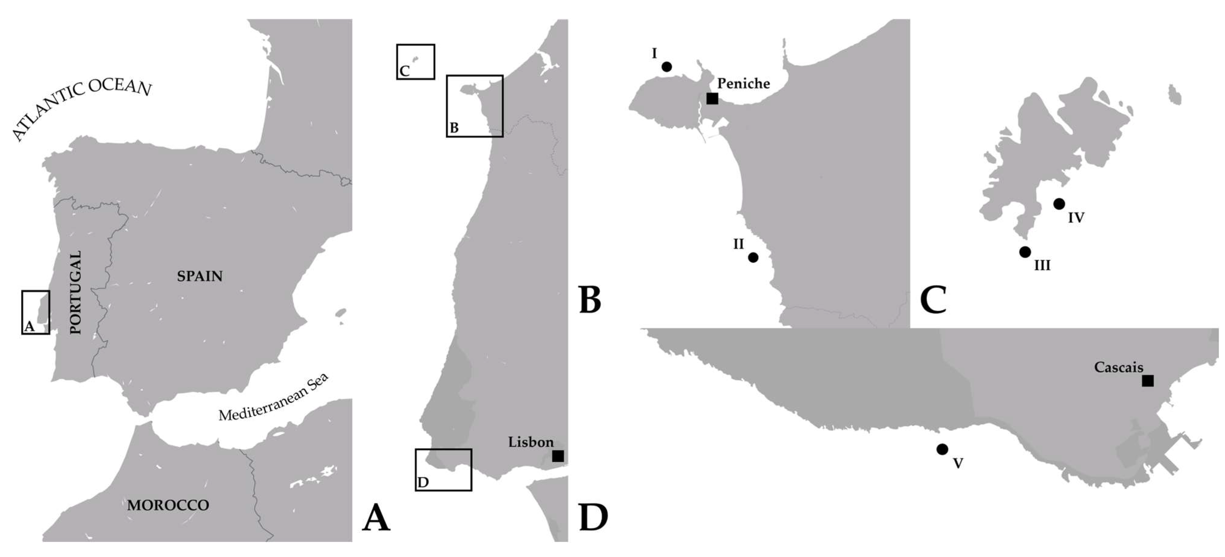 Sustainability 16 09176 g001
