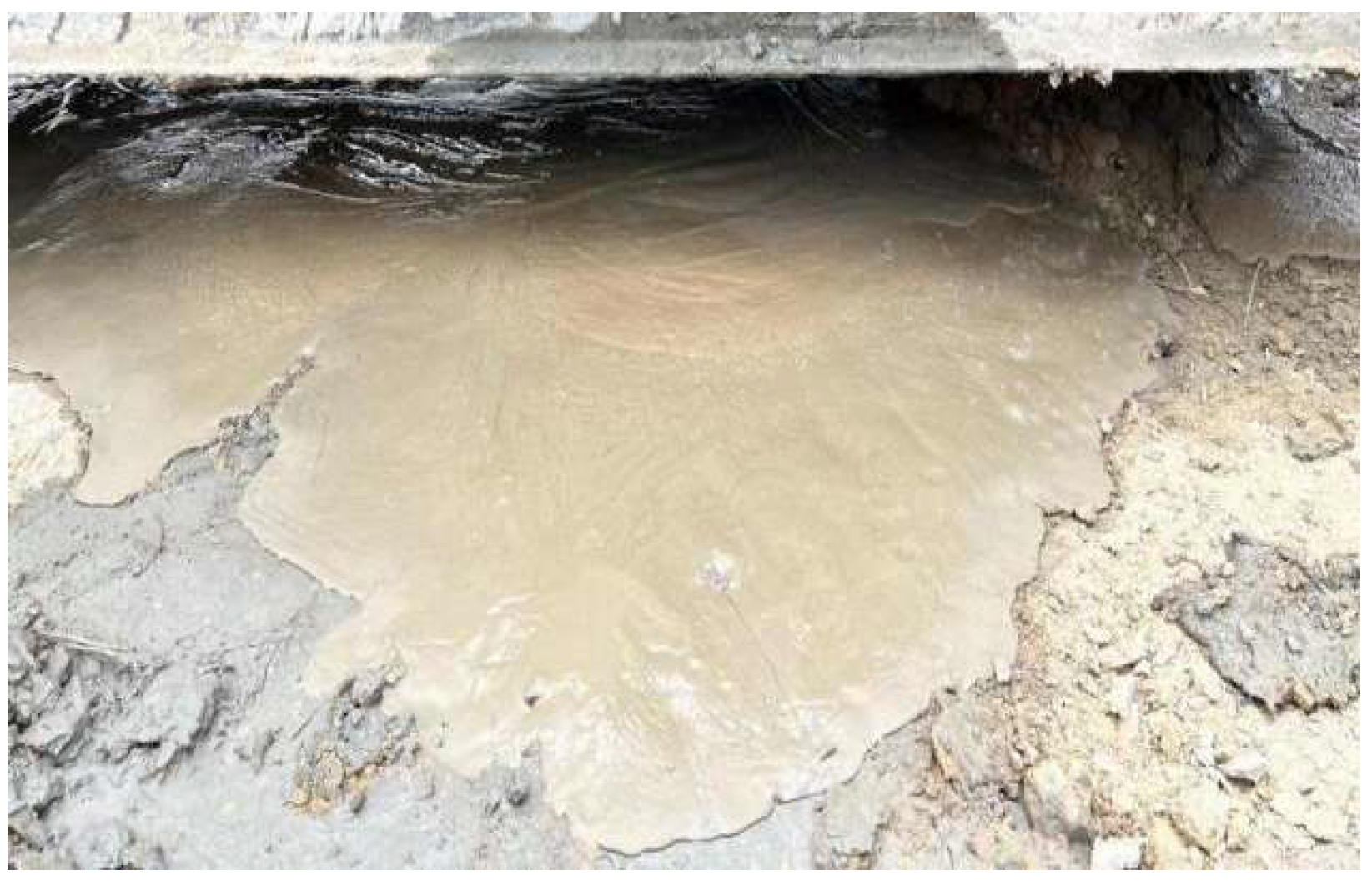 Sustainability 16 09198 g005