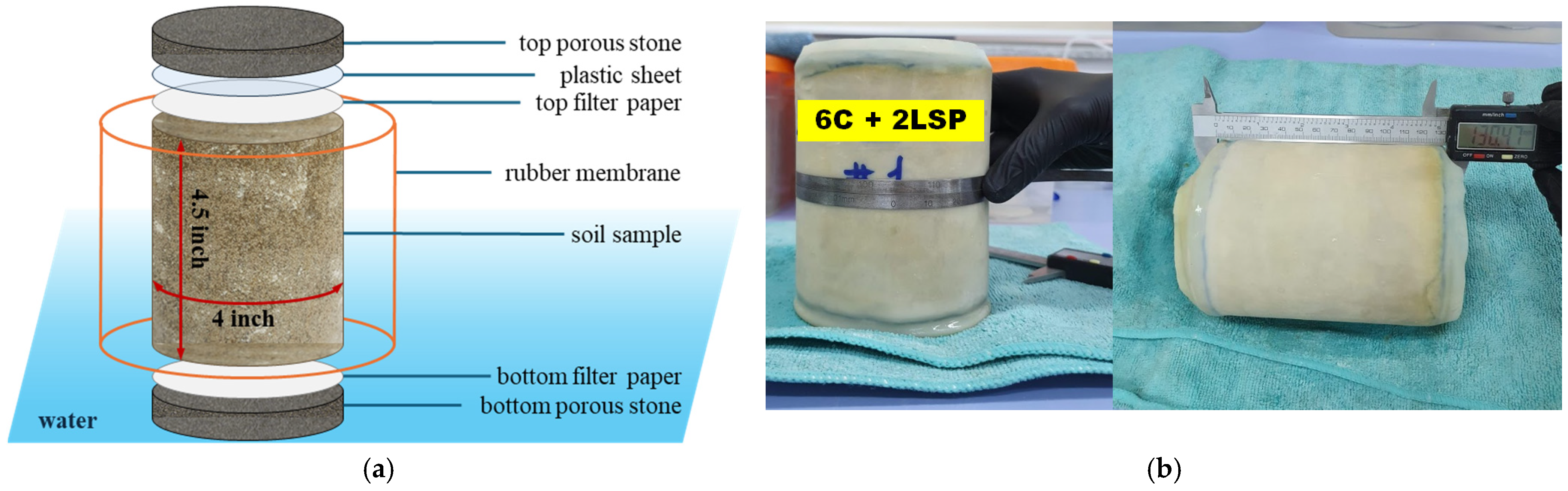 Sustainability 16 09224 g007