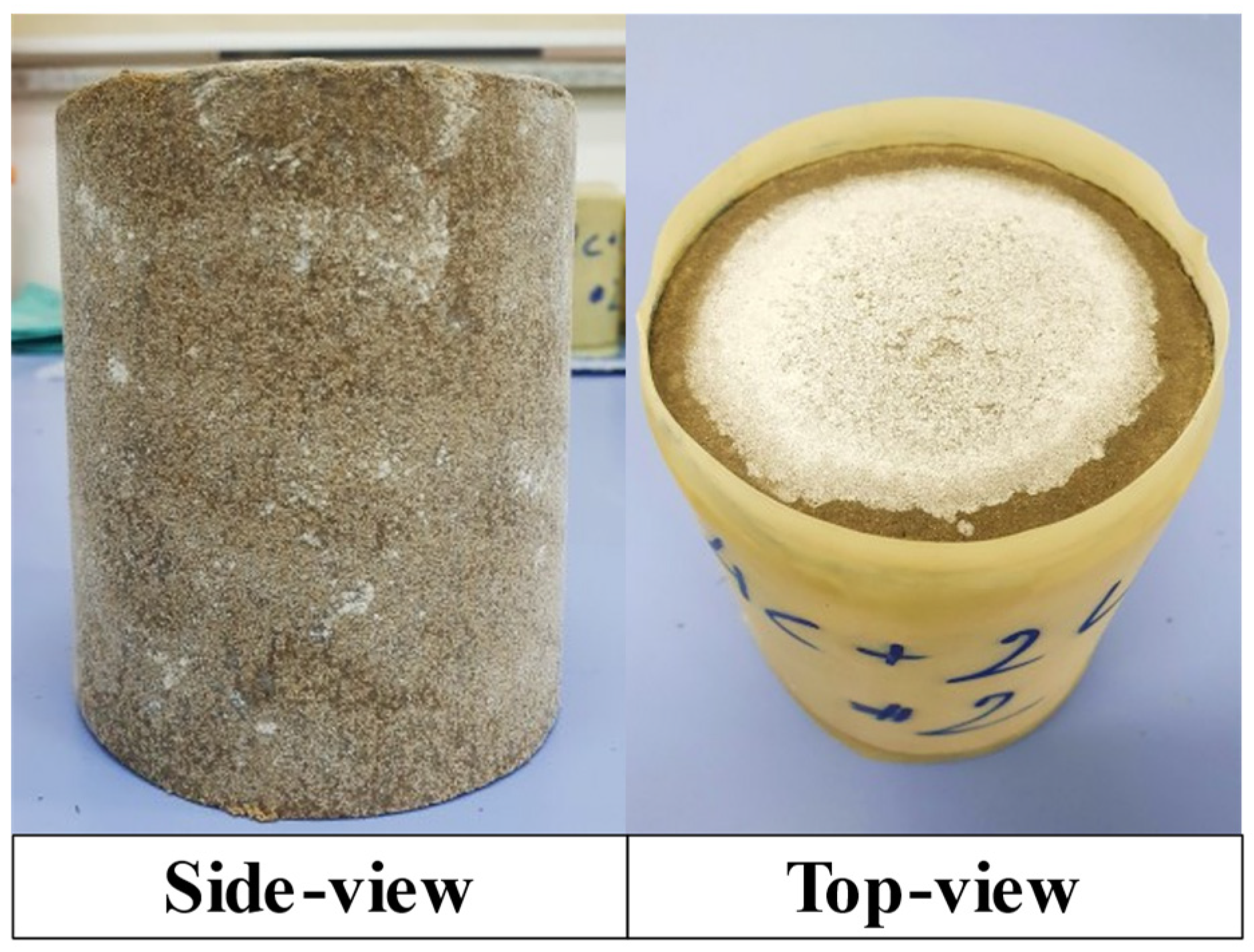 Sustainability 16 09224 g010