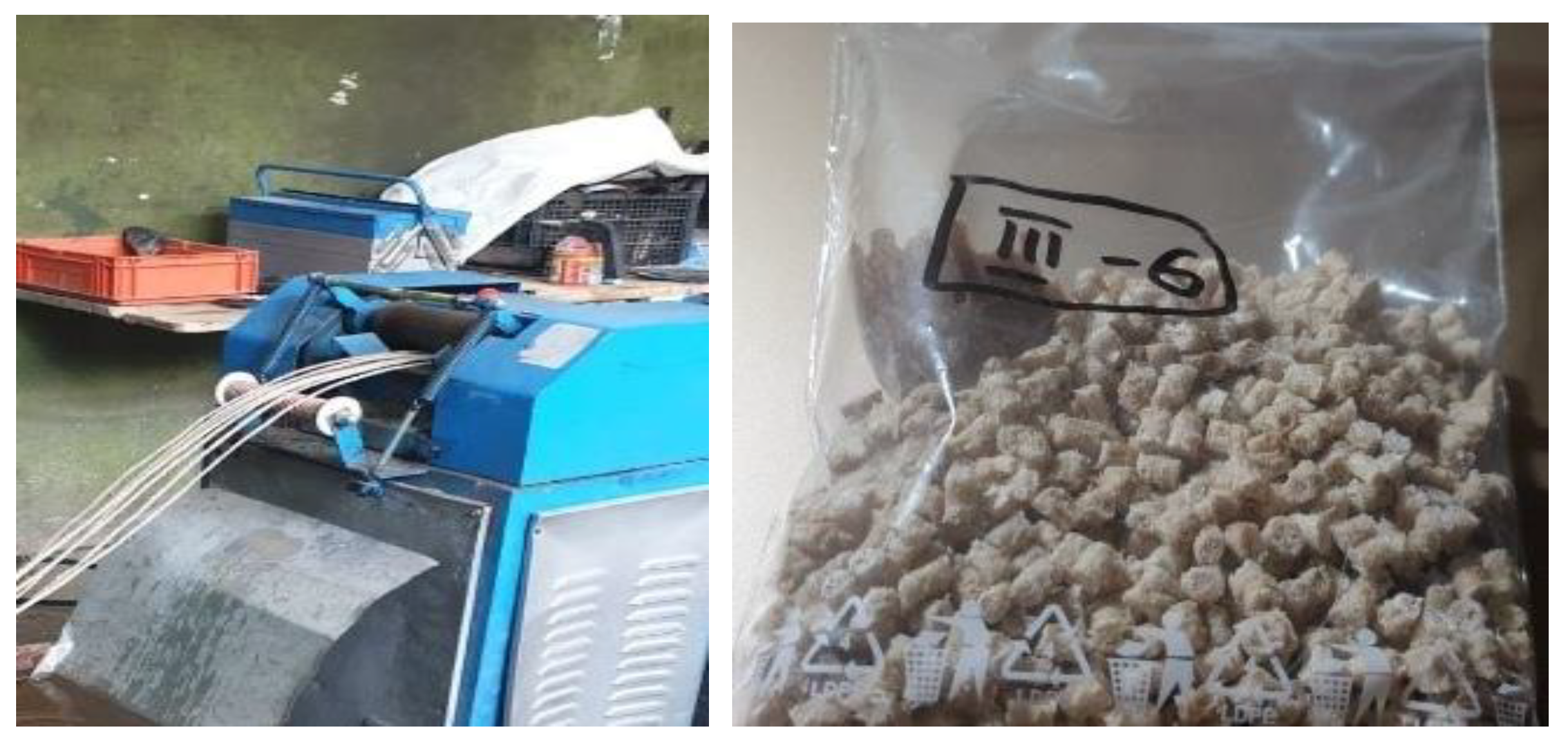 Sustainability 16 09243 g002