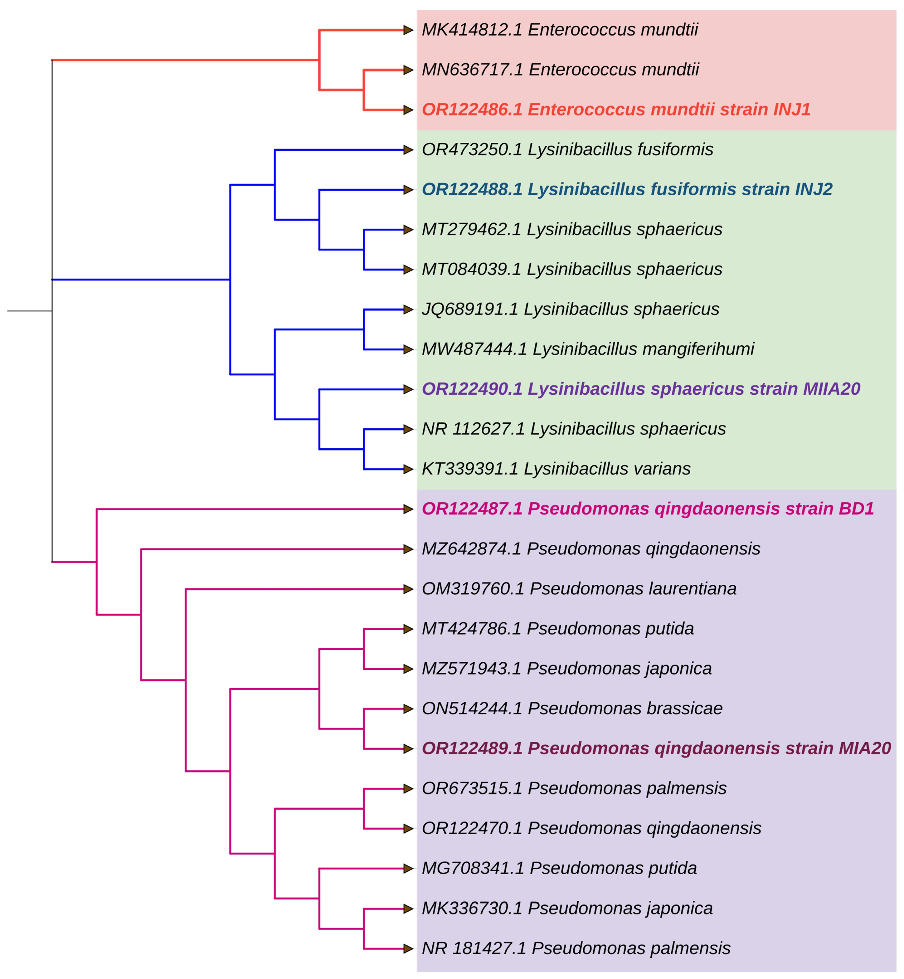 Sustainability 16 09263 g002