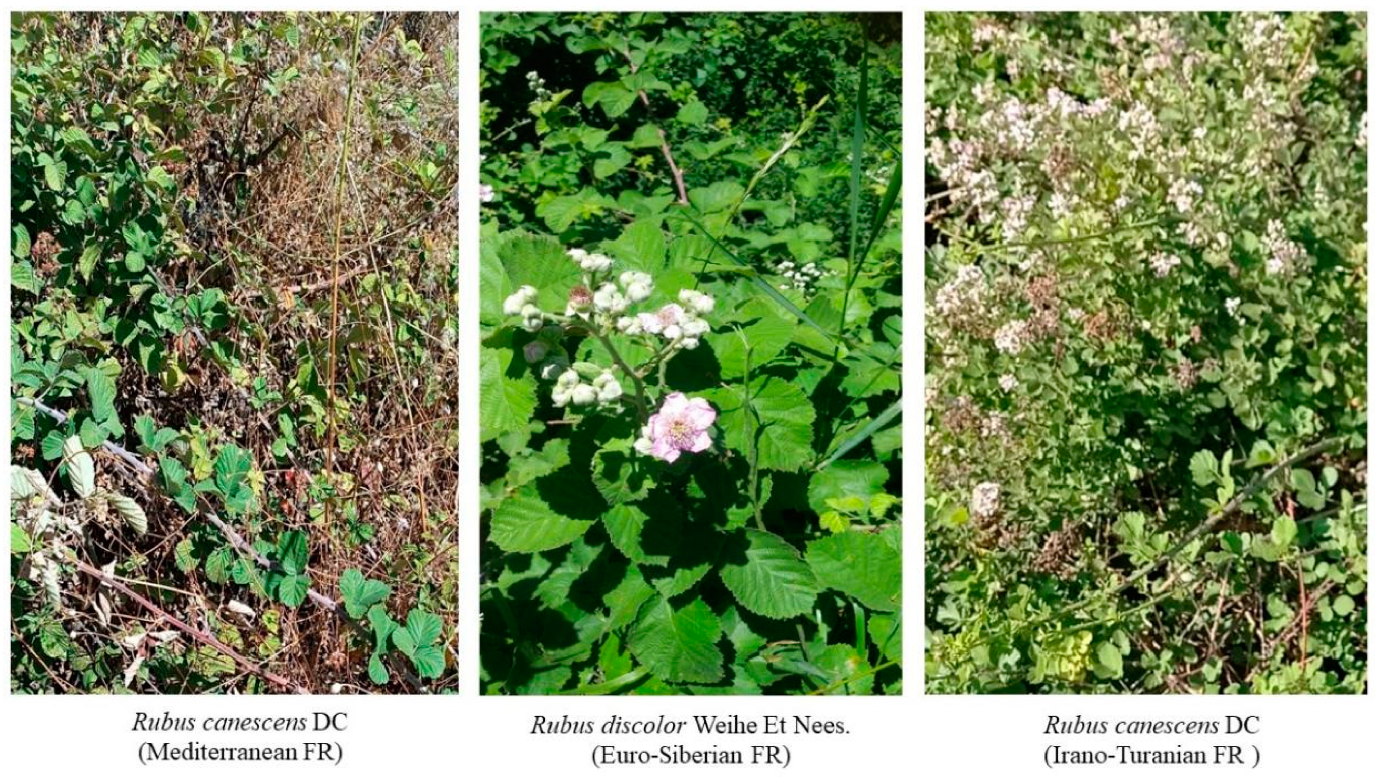 Sustainability 16 09278 g005