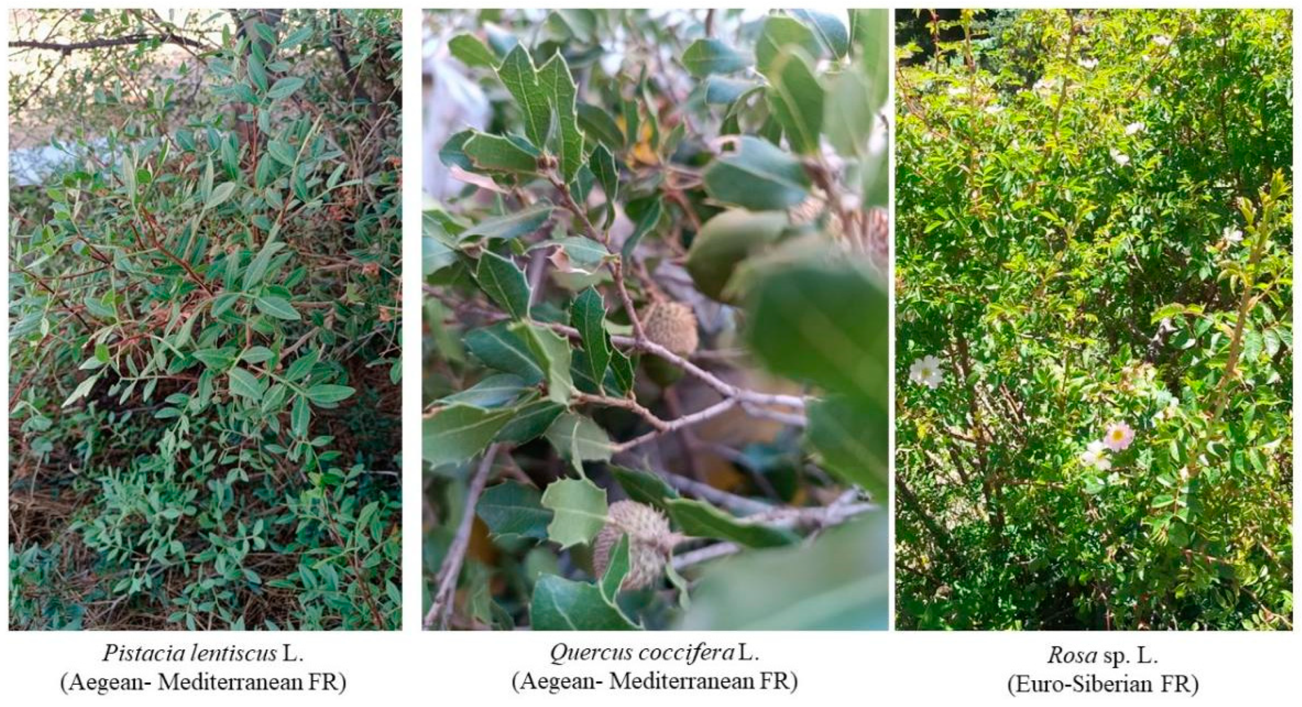 Sustainability 16 09278 g006