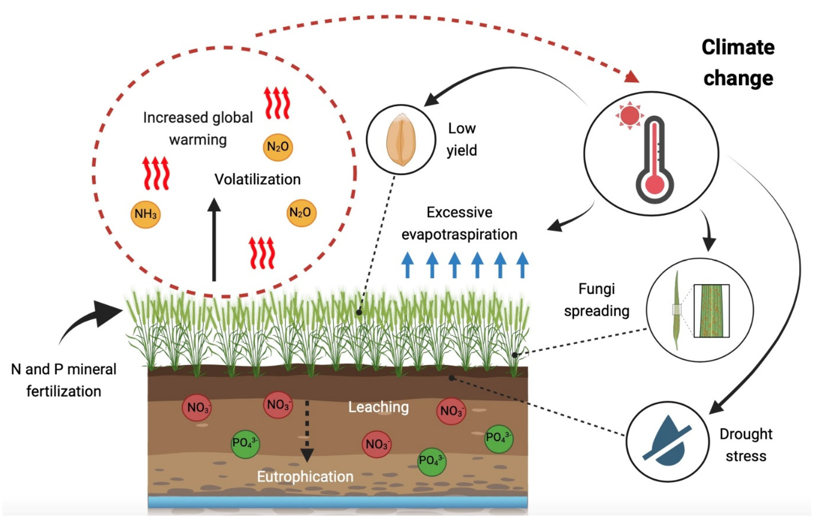 Sustainability 16 09280 g001