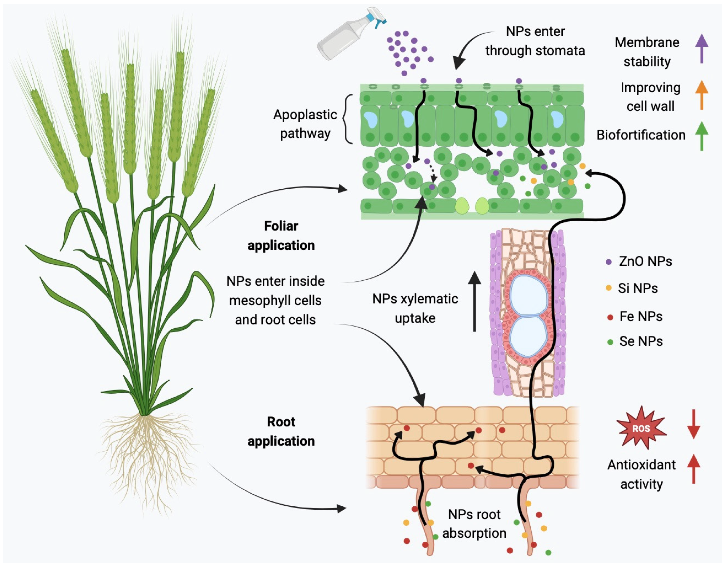 Sustainability 16 09280 g002
