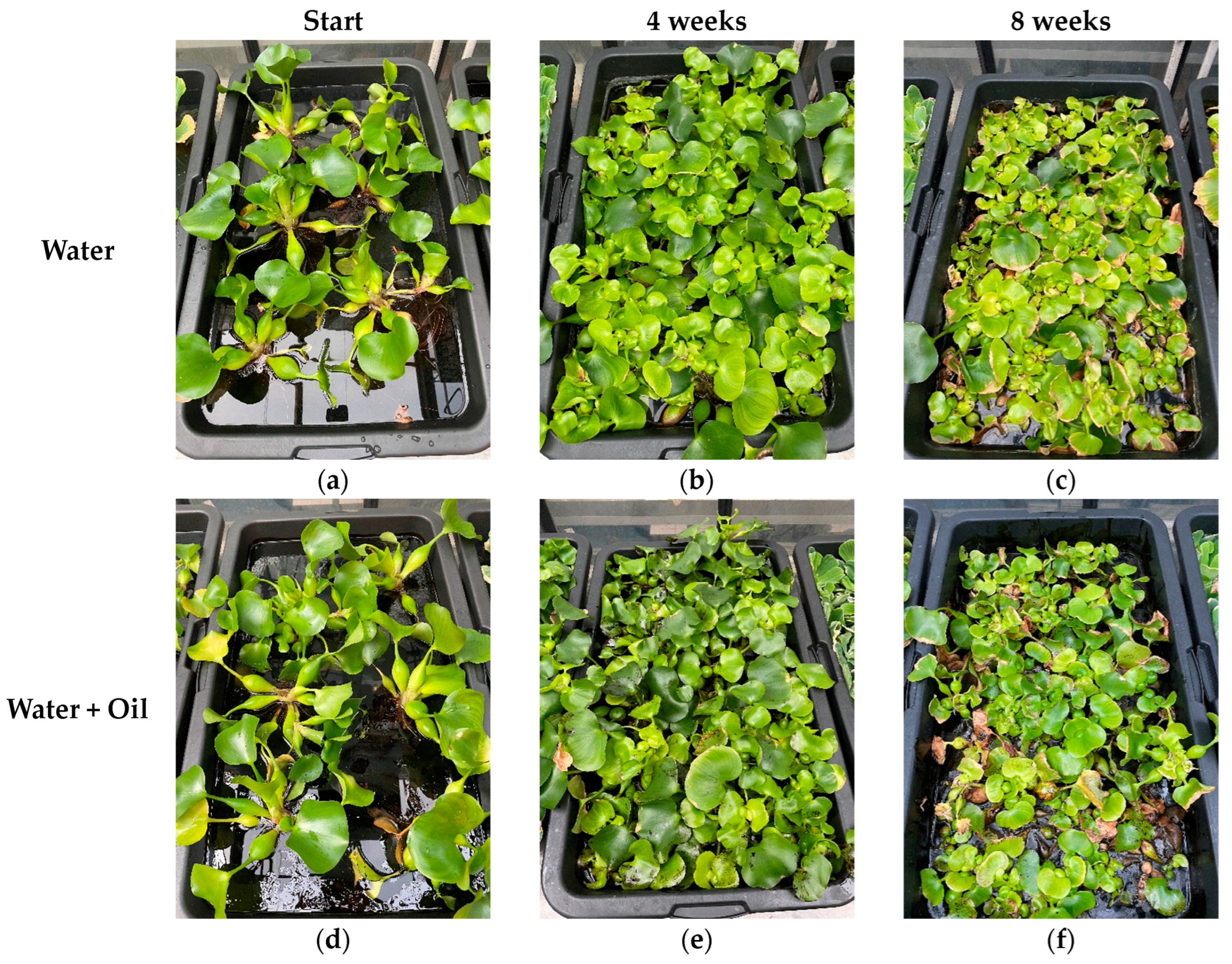 Sustainability 16 09288 g003