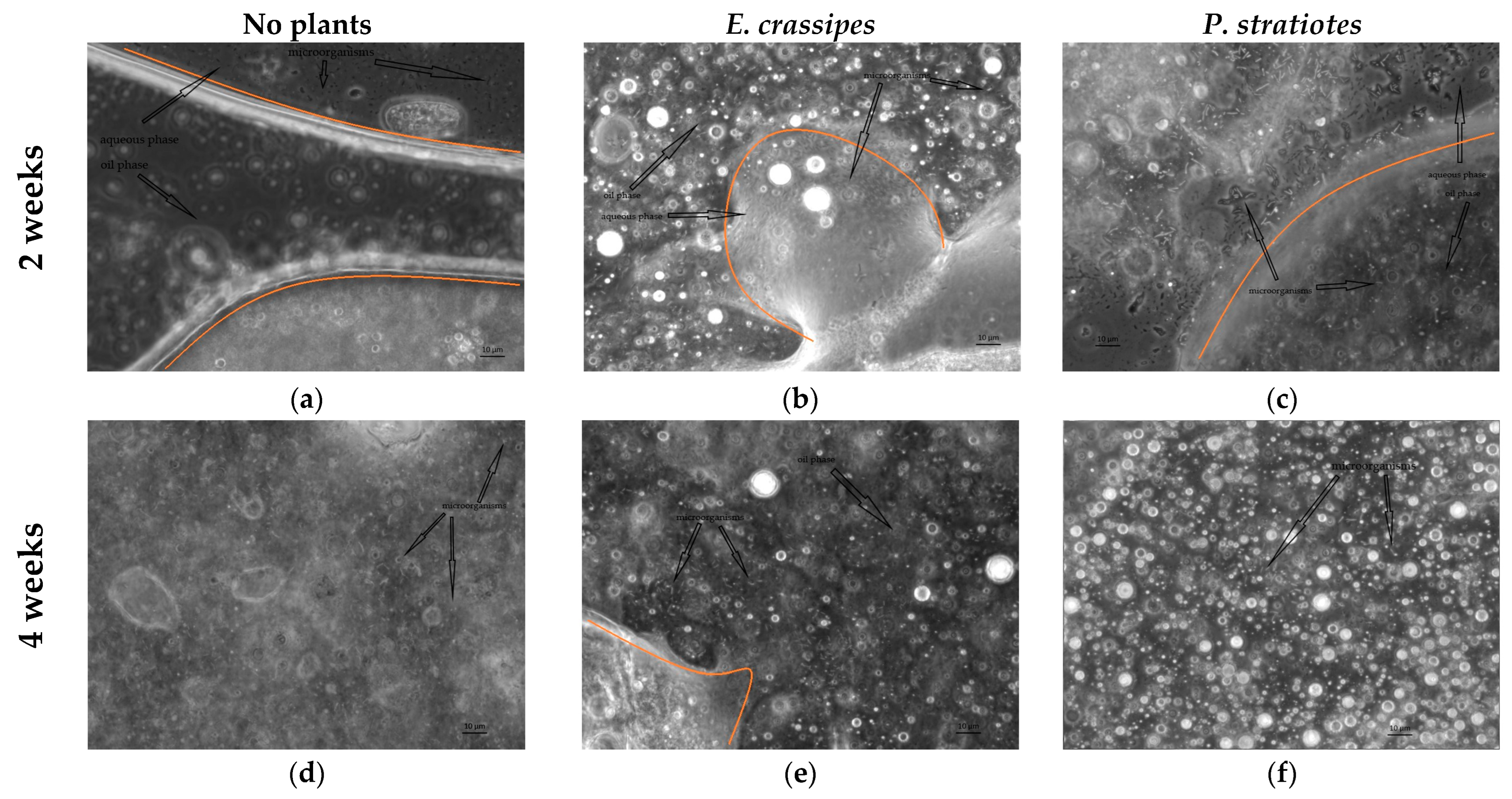Sustainability 16 09288 g005