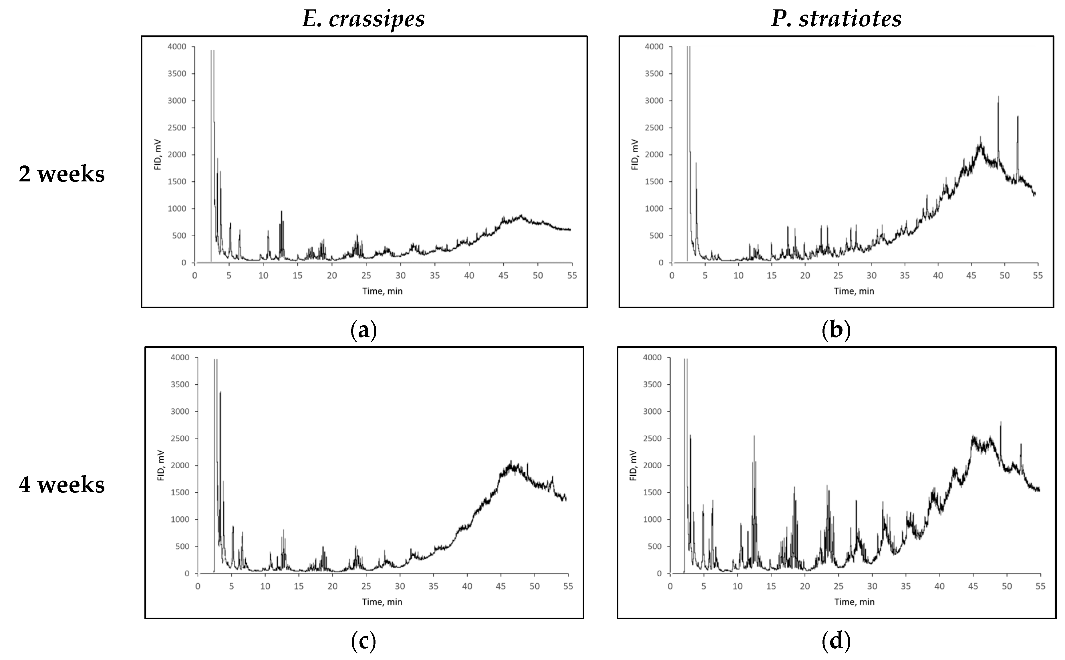 Sustainability 16 09288 g007