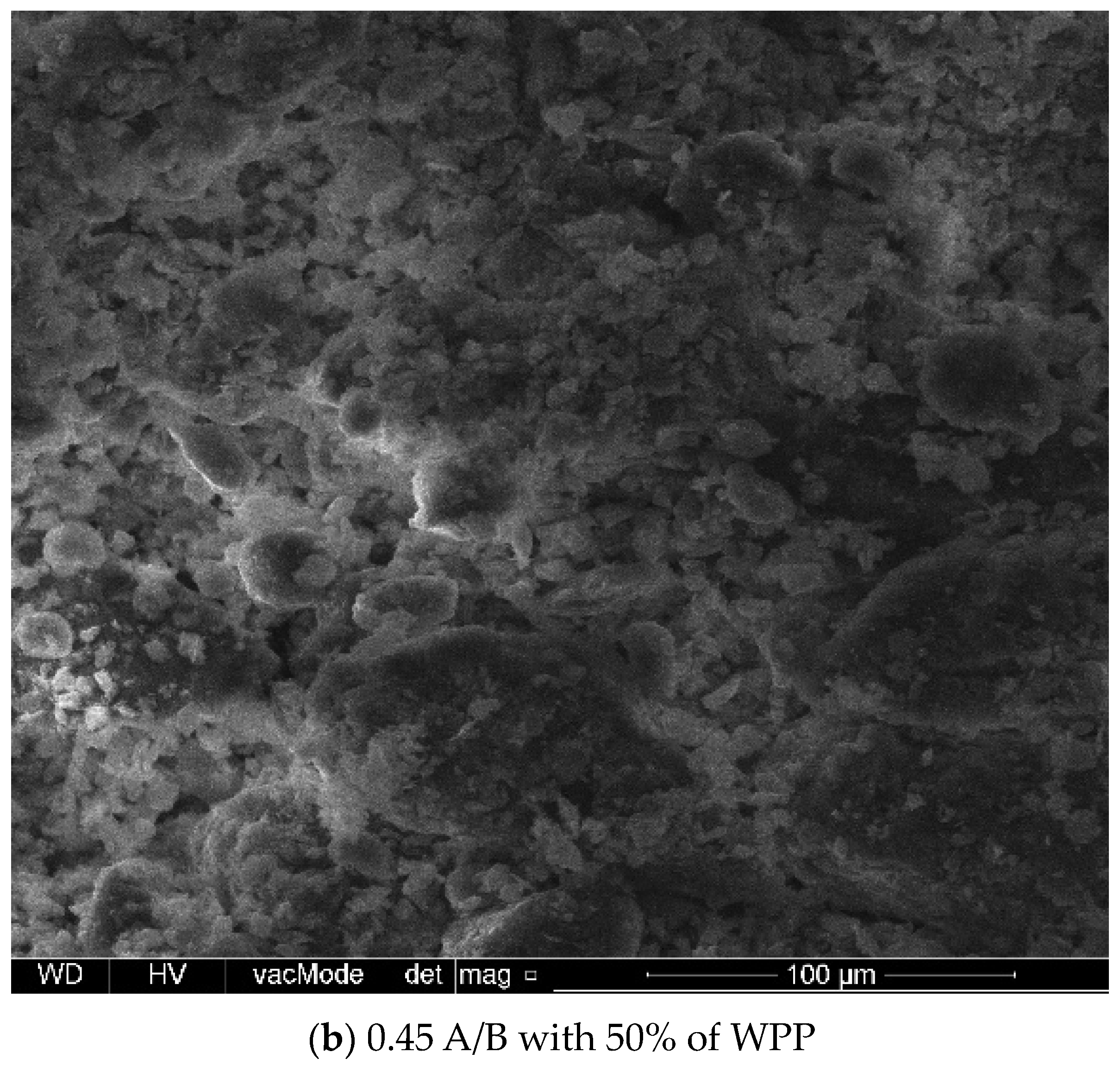 Sustainability 16 09296 g014b