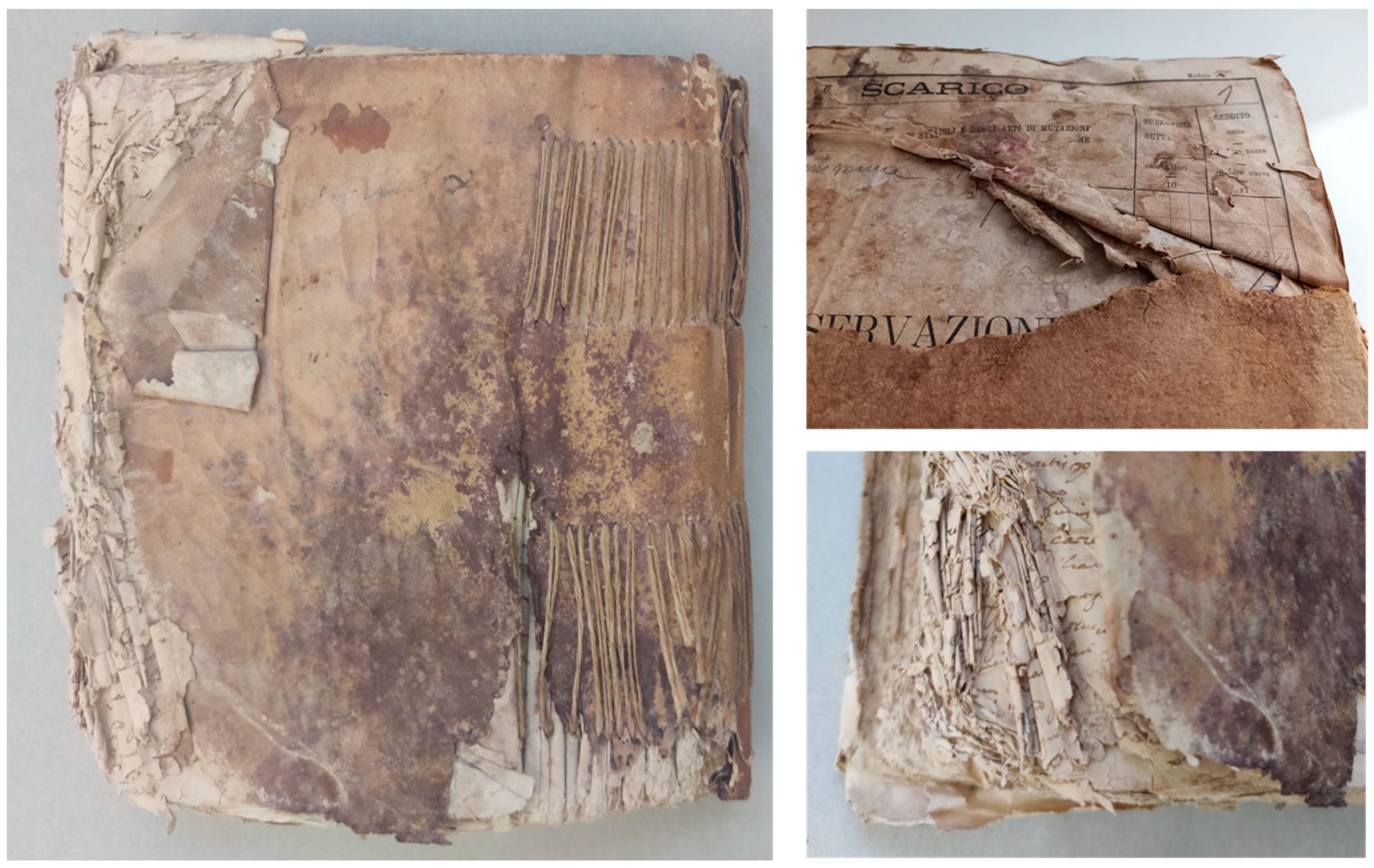 Sustainability 16 09303 g001 Sustainability 16 09303 g001