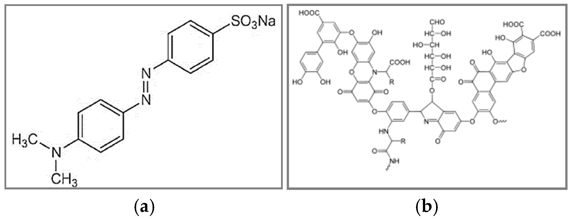 Sustainability 16 09308 g001