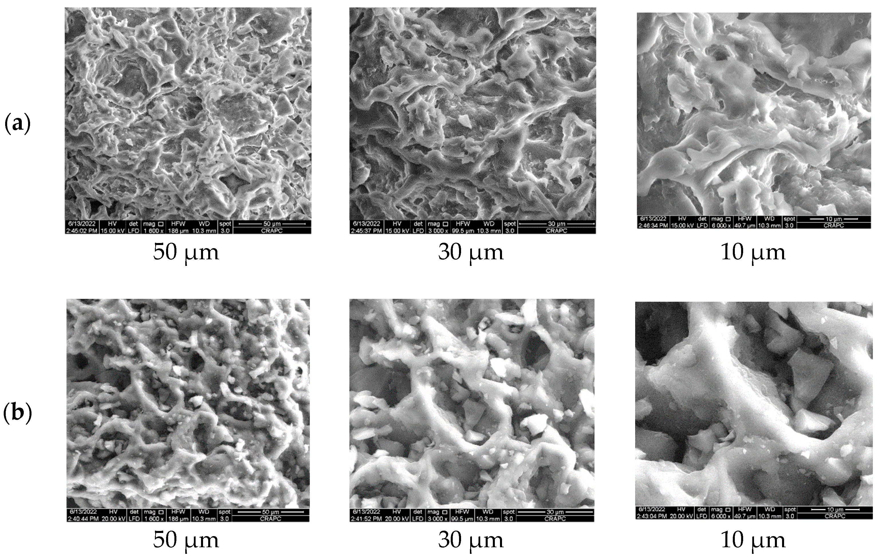 Sustainability 16 09308 g002