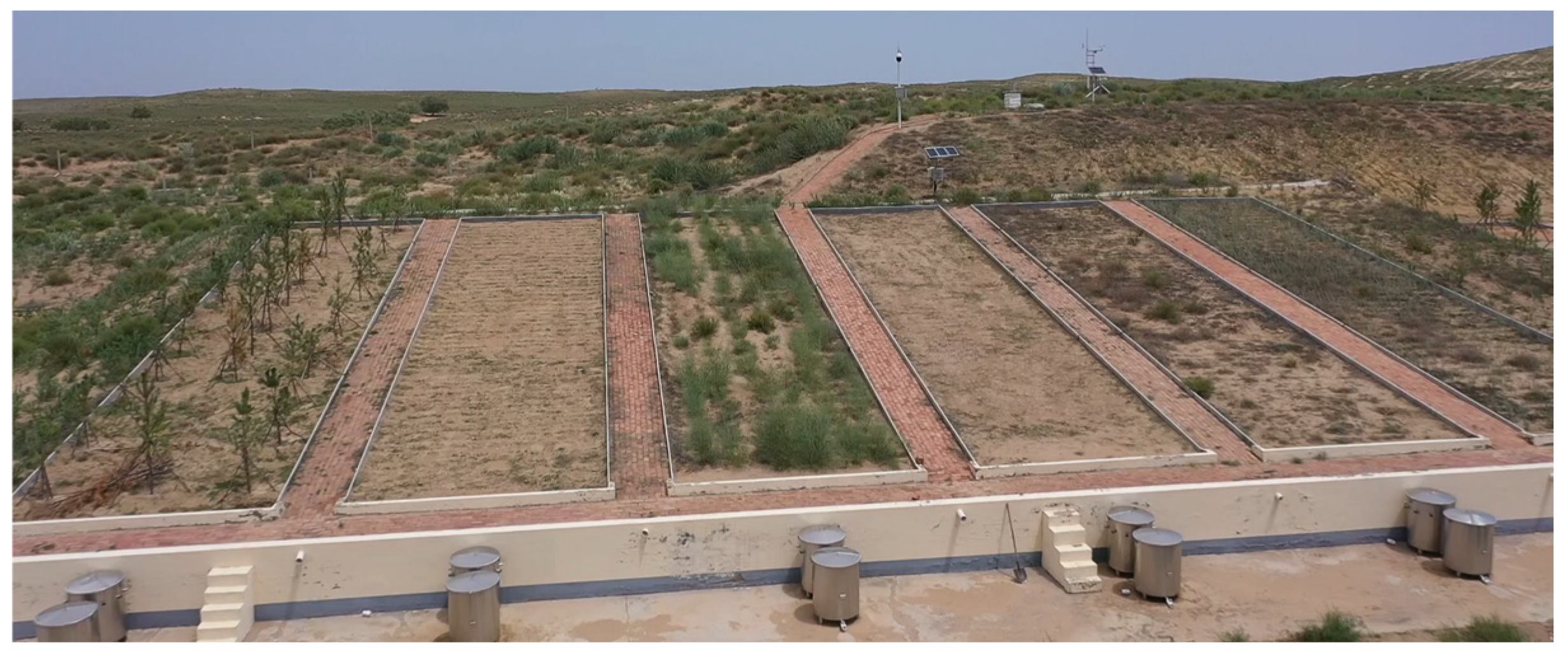 Sustainability 16 09313 g002