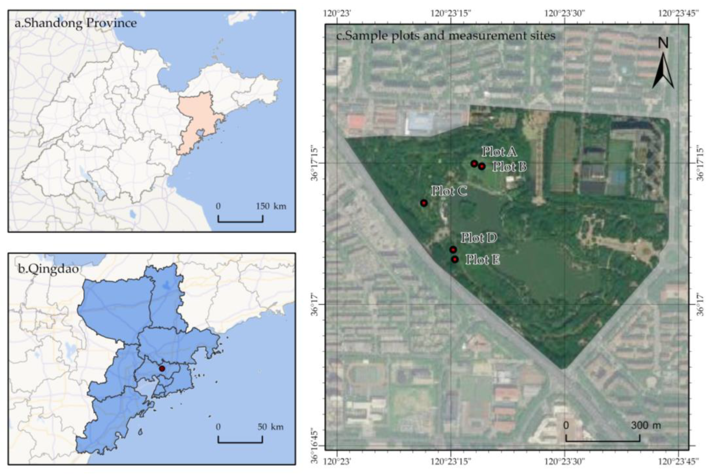 Sustainability 16 09336 g001