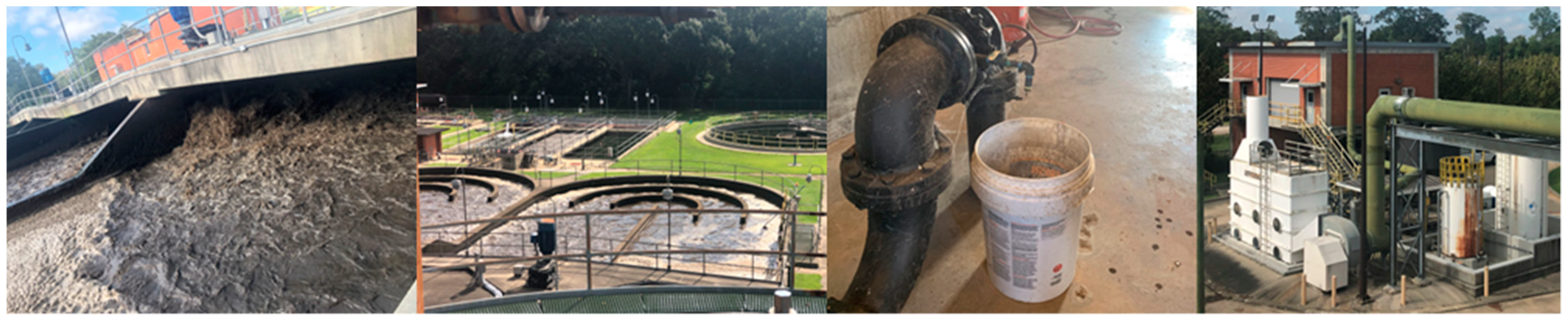 Sustainability 16 09346 g001