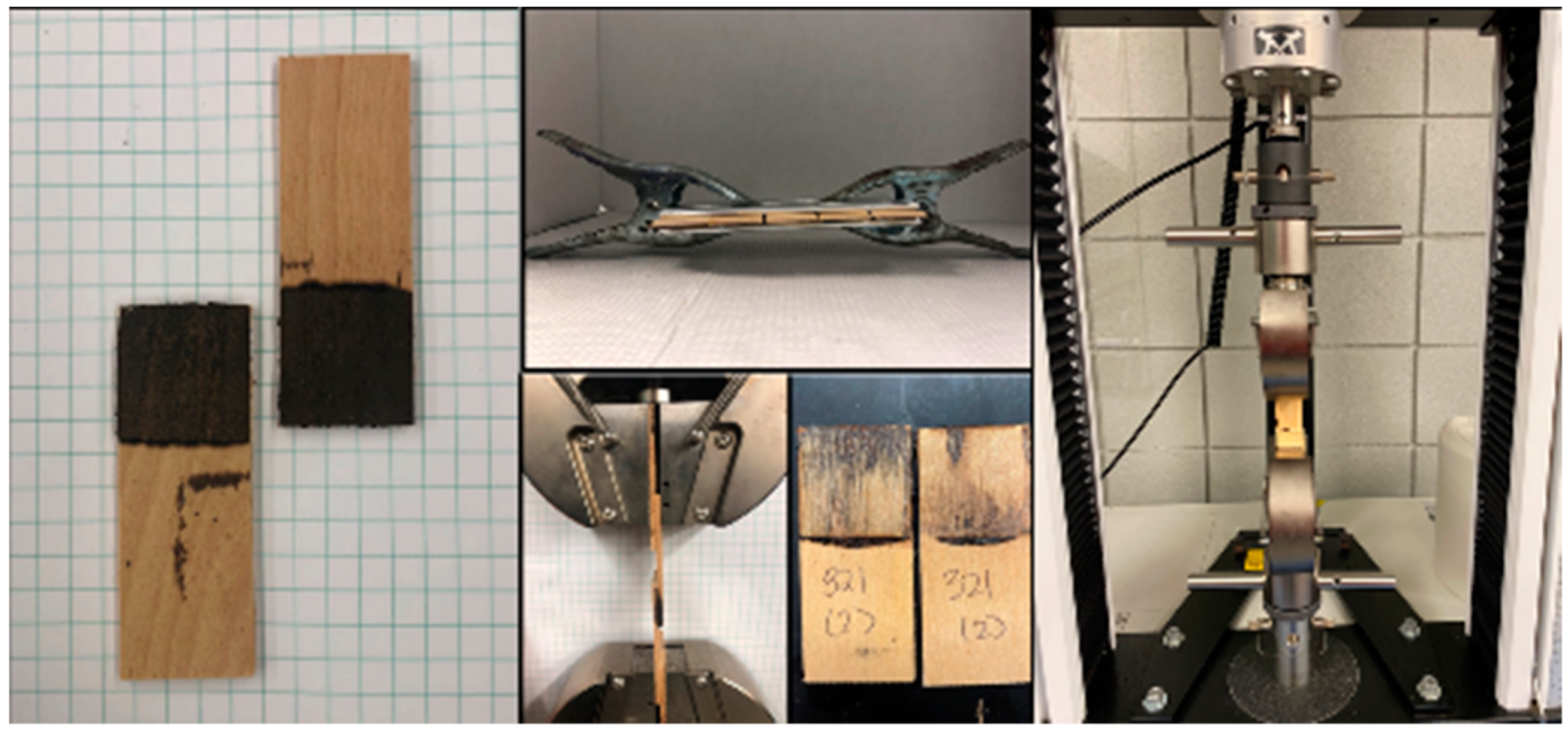 Sustainability 16 09346 g003