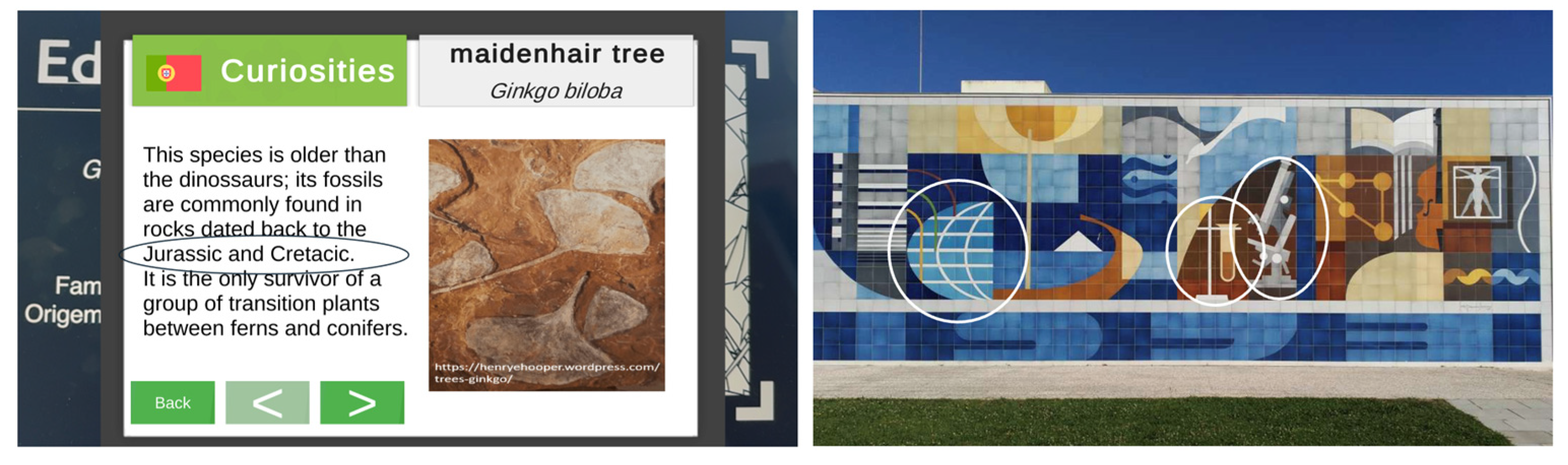 Sustainability 16 09357 g008