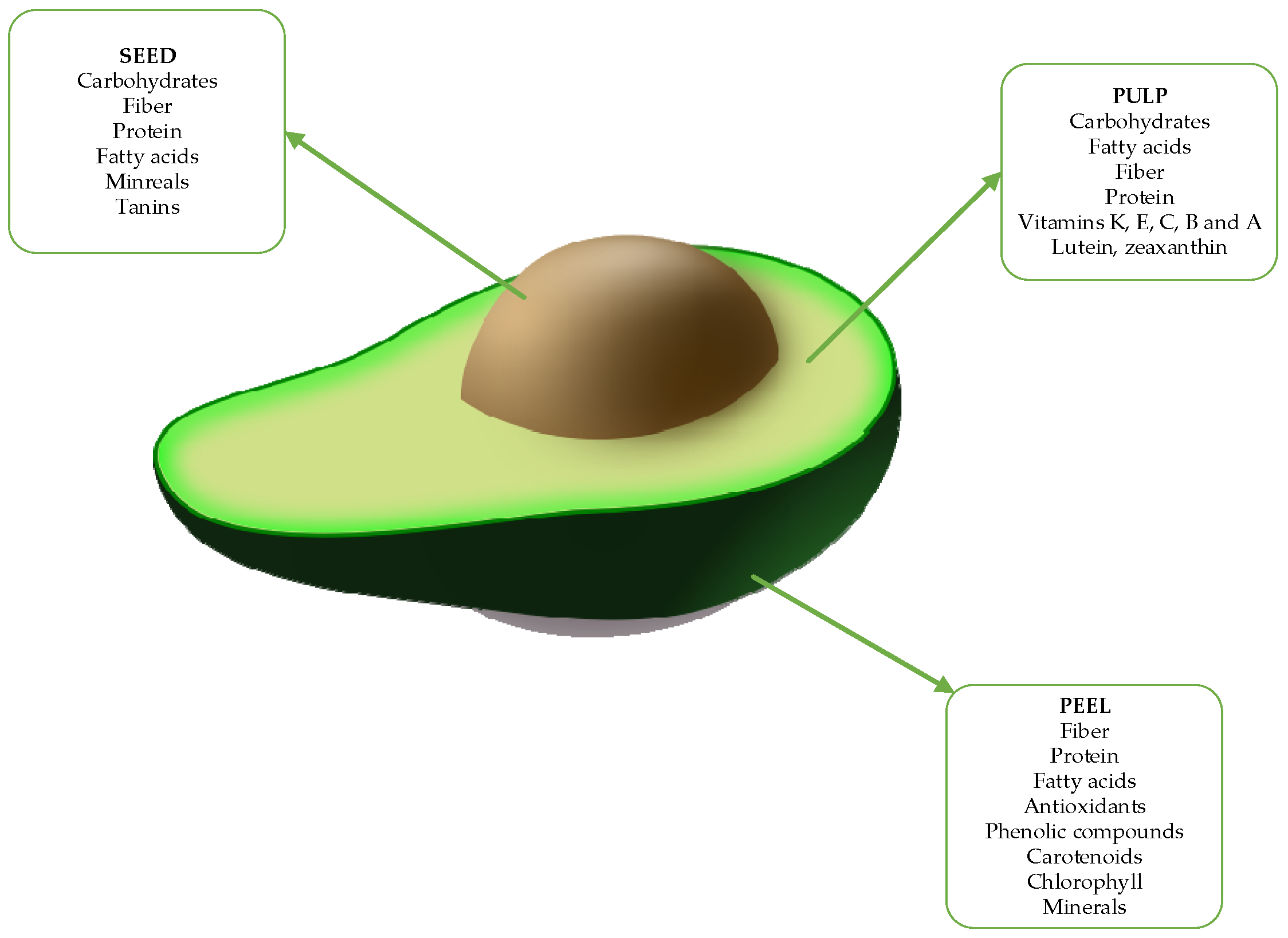 Sustainability 16 09414 g001