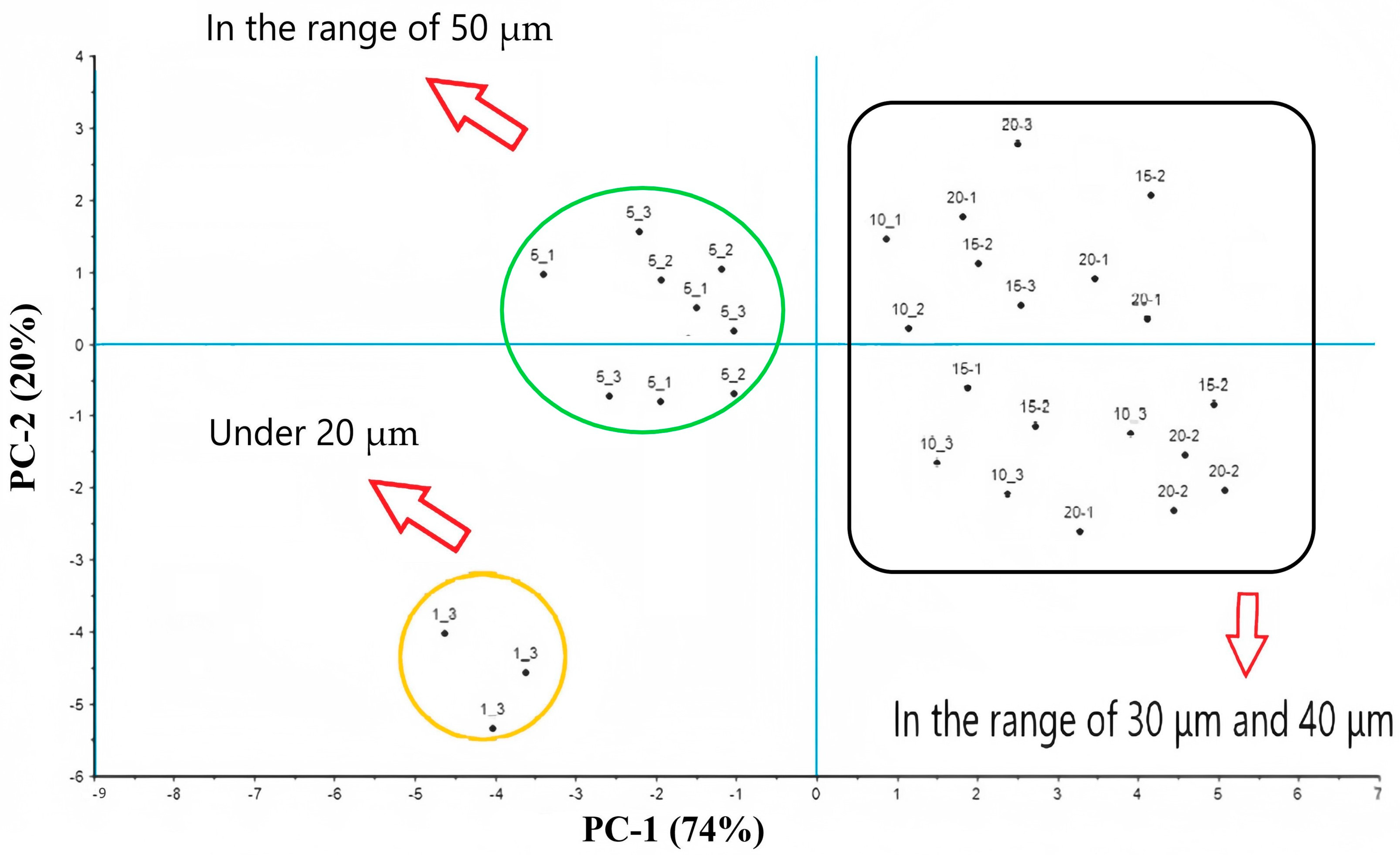 Sustainability 16 09416 g011