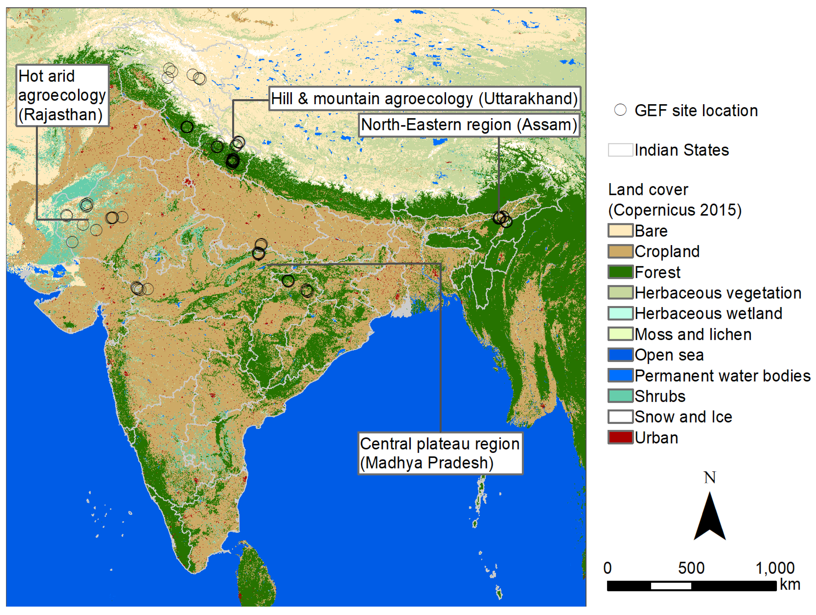 Sustainability 16 09417 g001