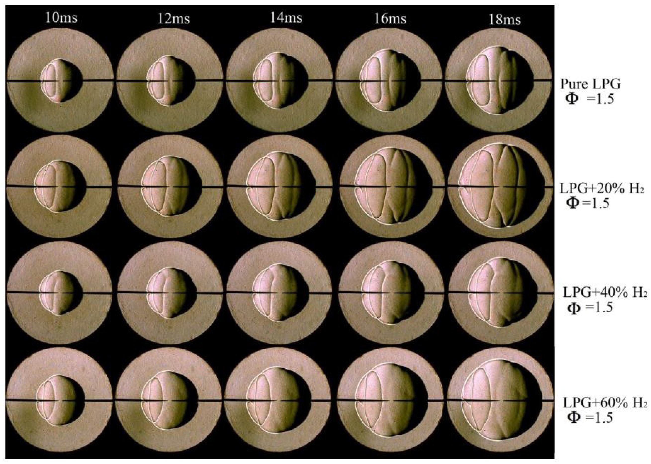 Sustainability 16 09423 g005